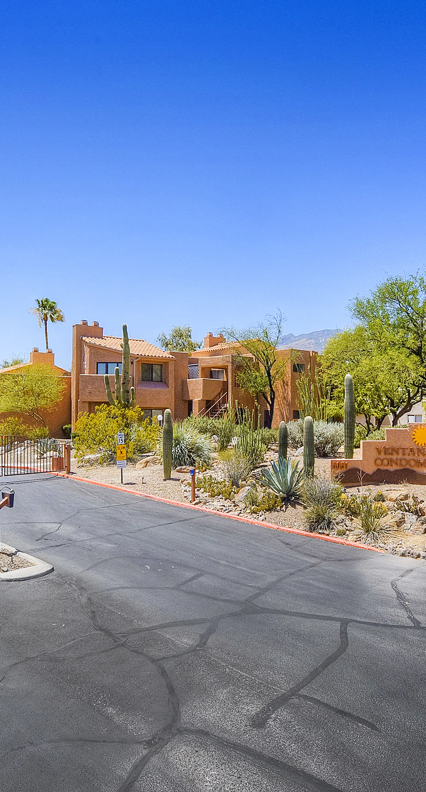 Sabino Canyon Gem