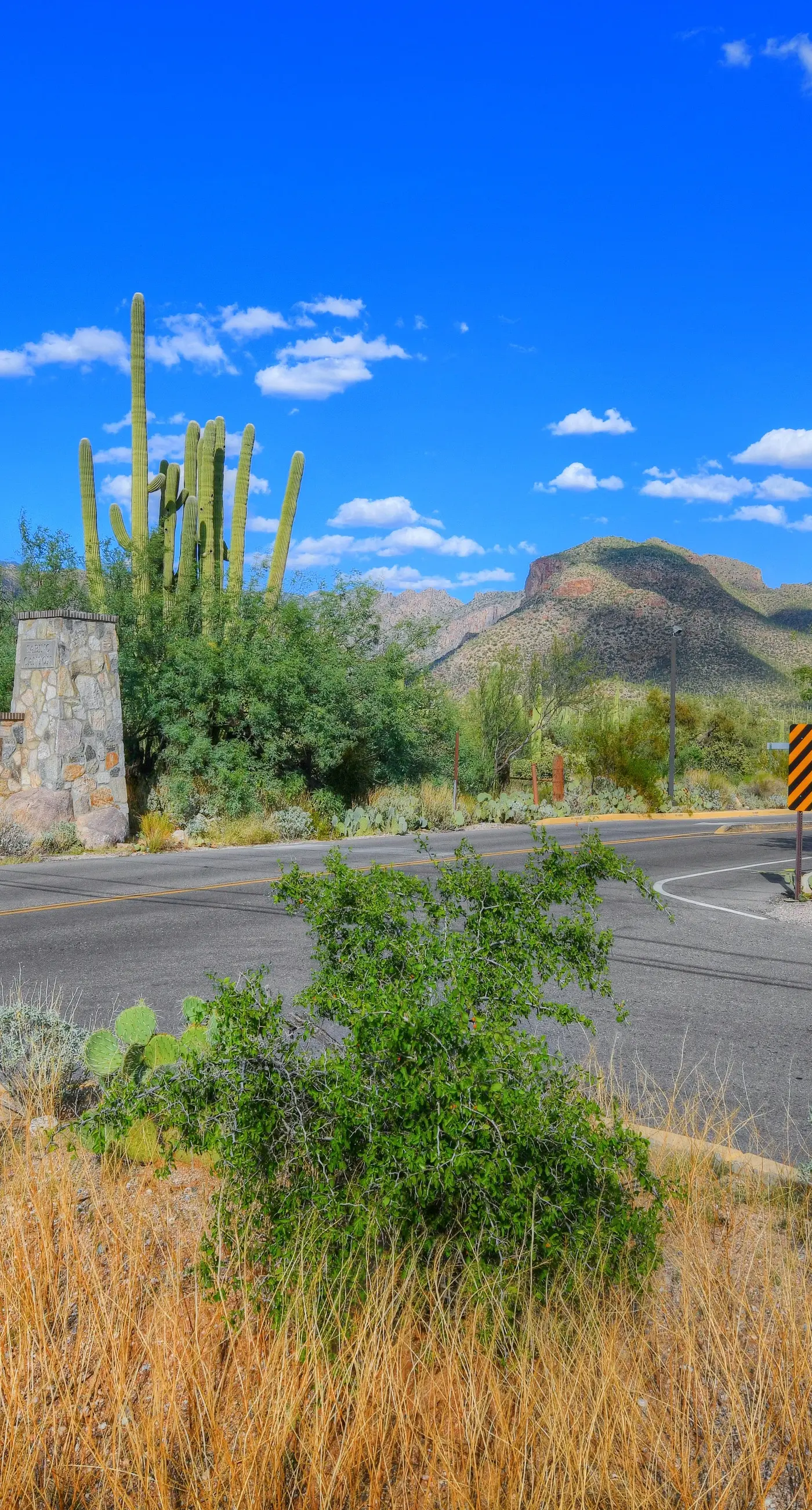 Sabino Canyon Gem
