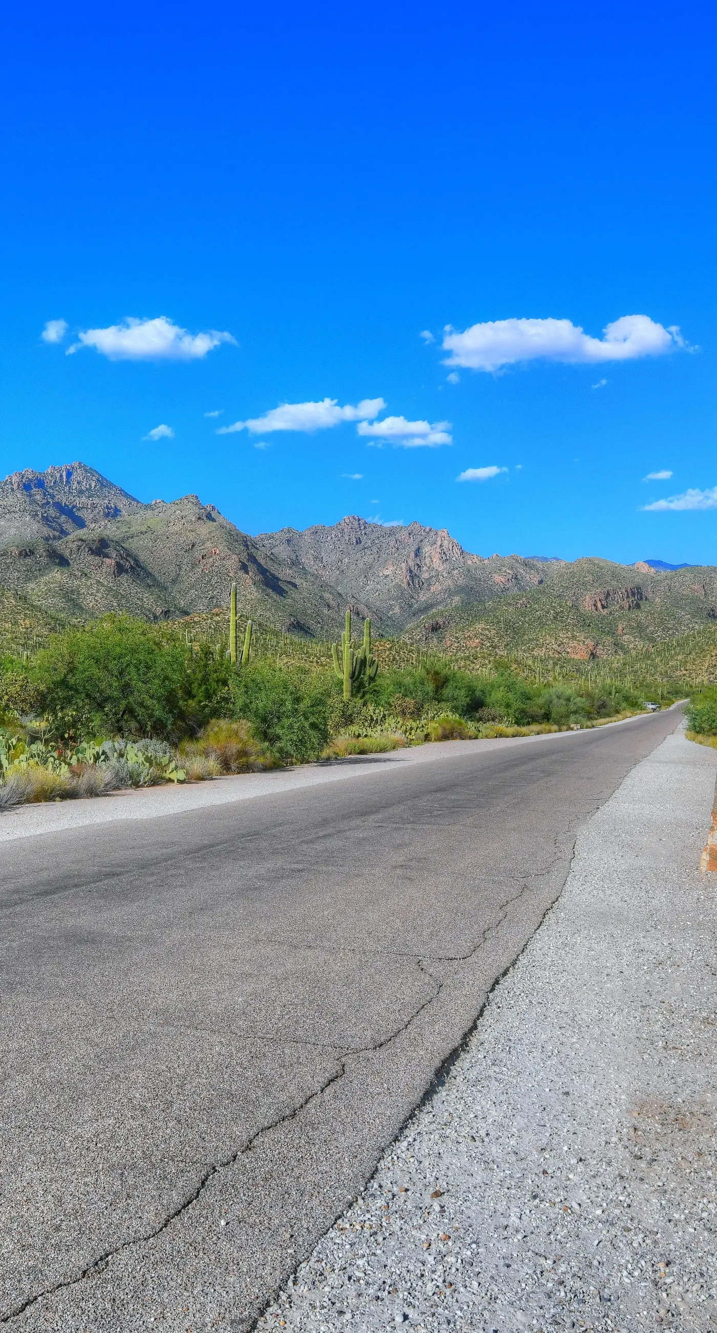 Sabino Canyon Gem