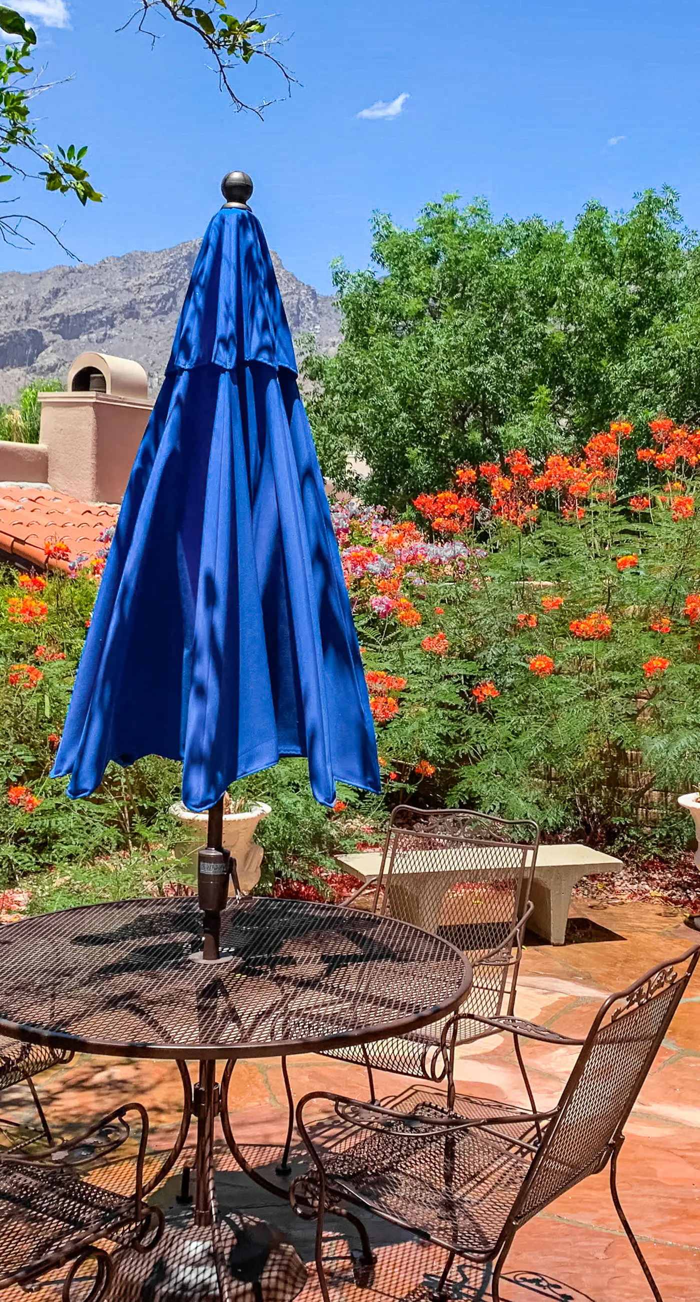 La Paloma Executive