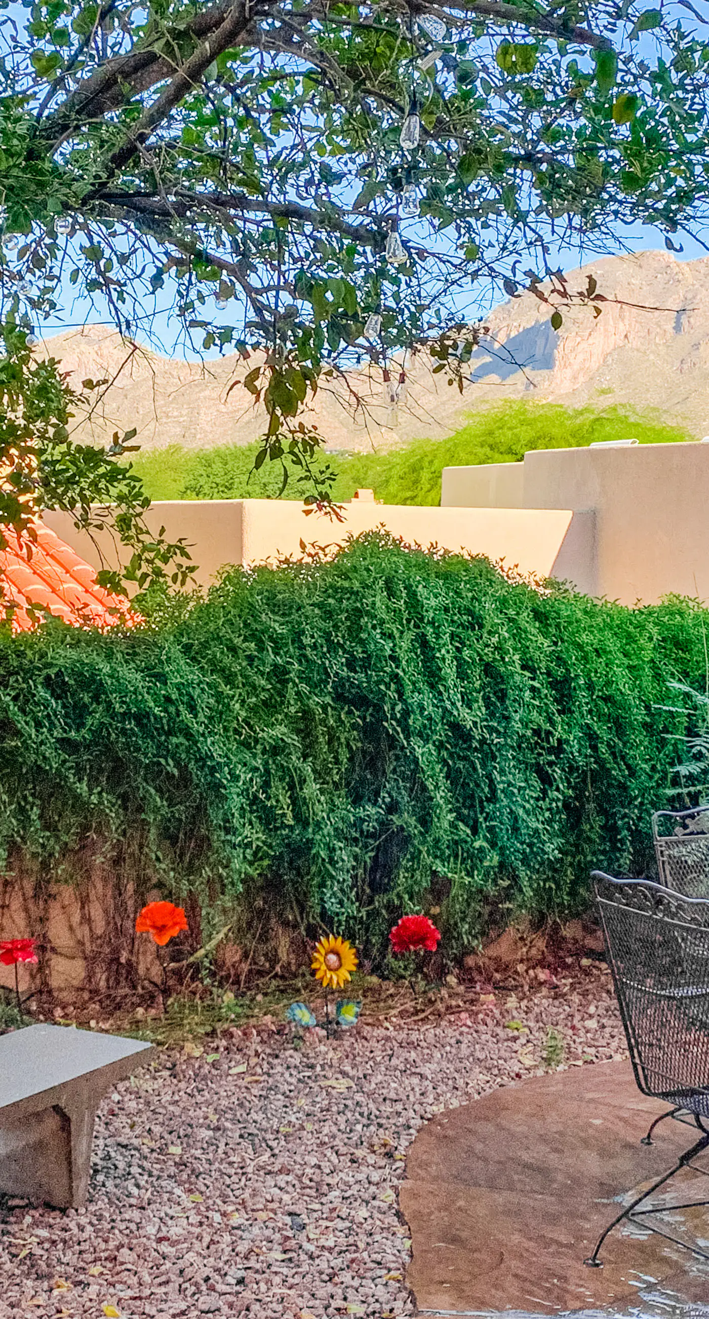 La Paloma Executive