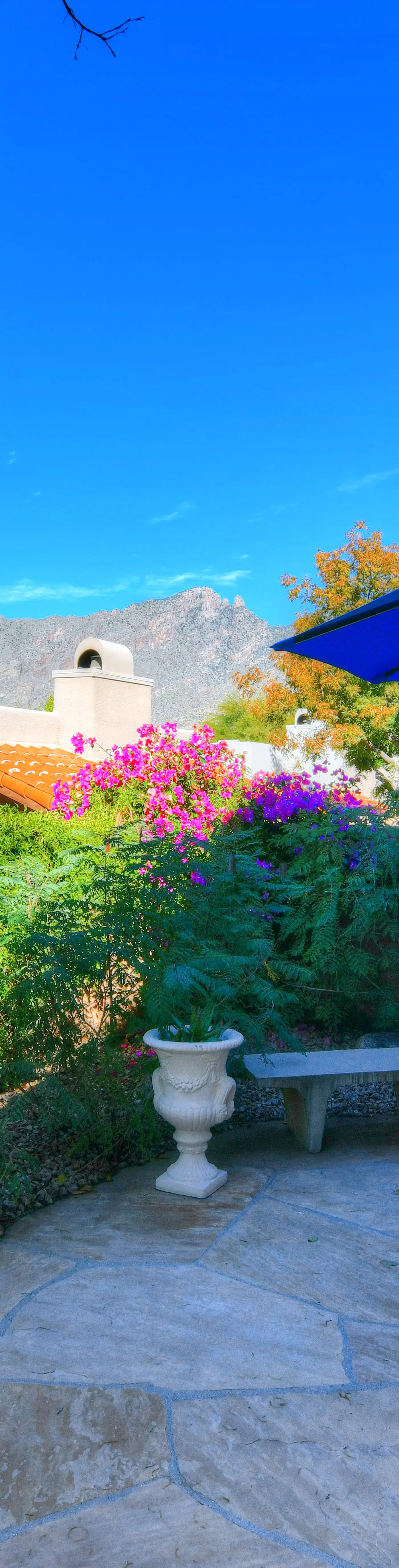 La Paloma Executive