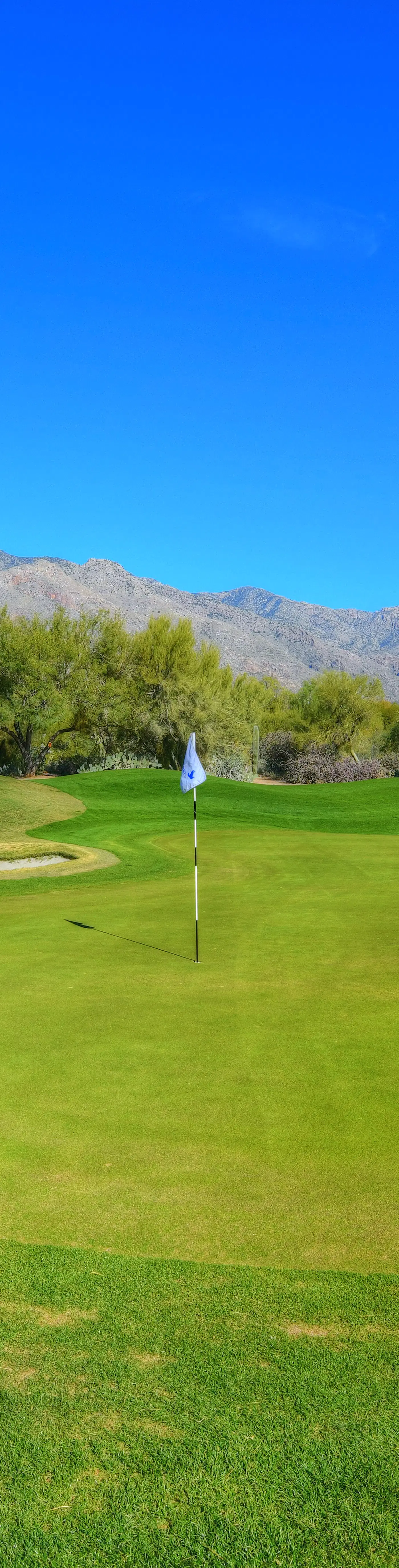 La Paloma Executive