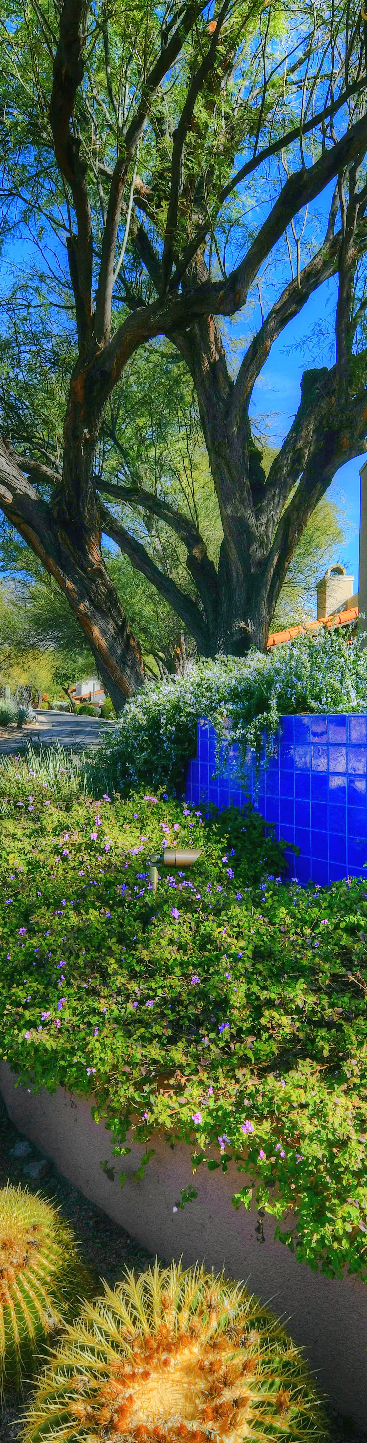 La Paloma Executive