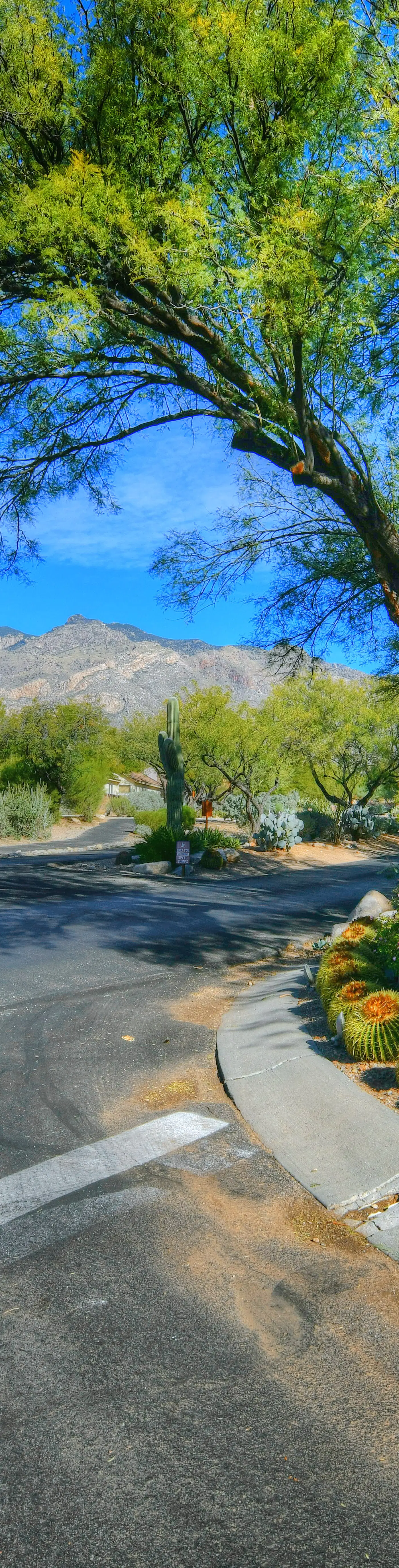 La Paloma Executive