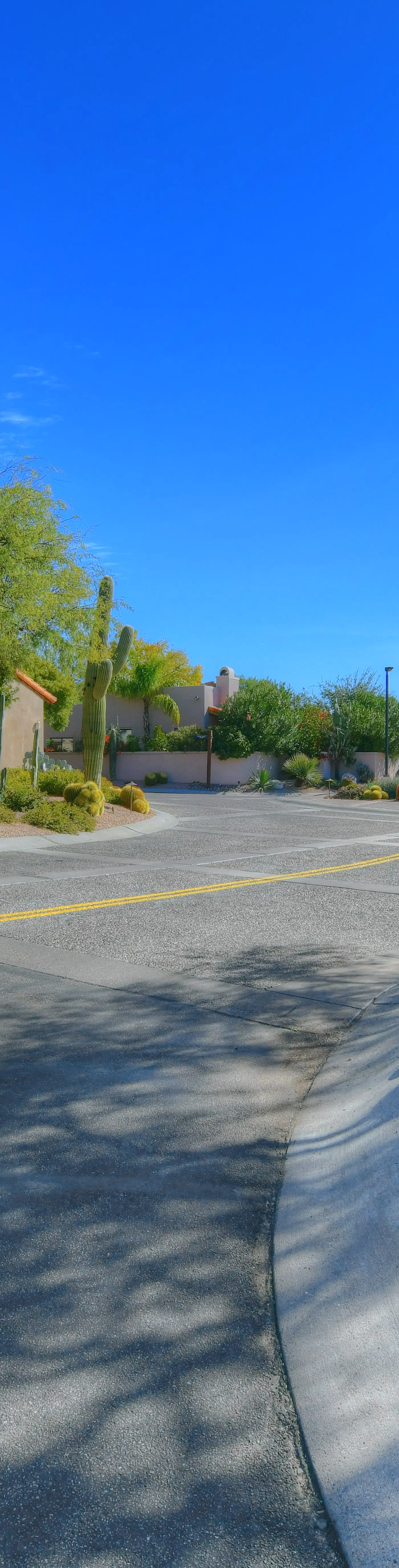 La Paloma Executive
