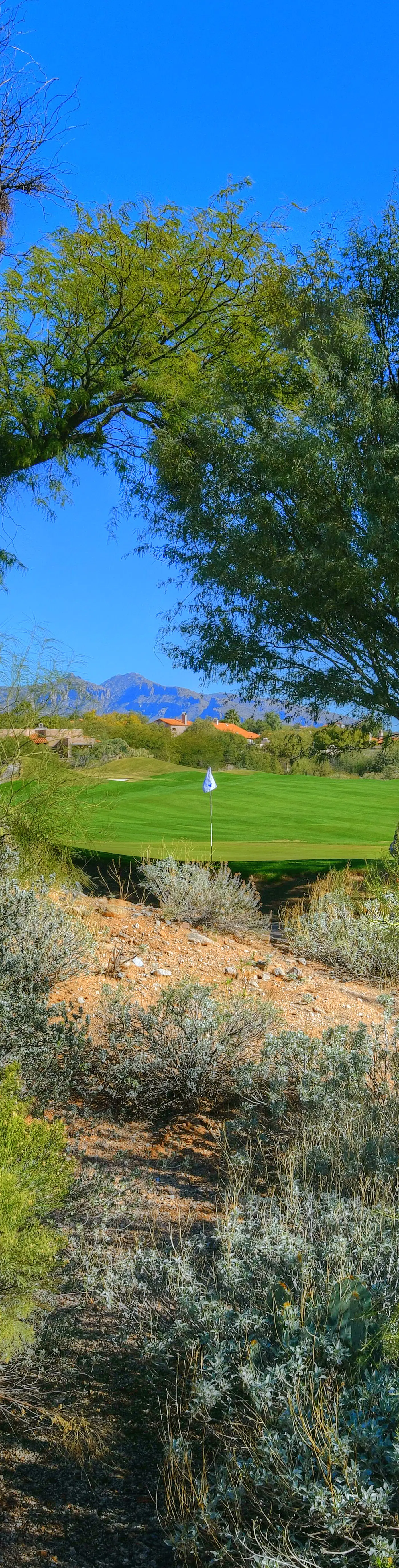 La Paloma Executive