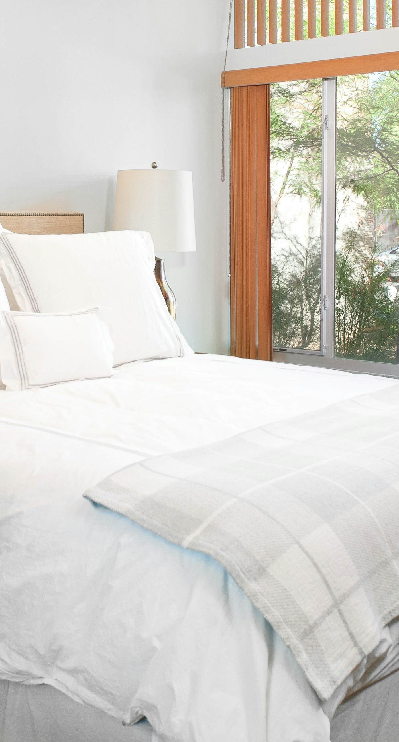 Las Palmas Monte Vista