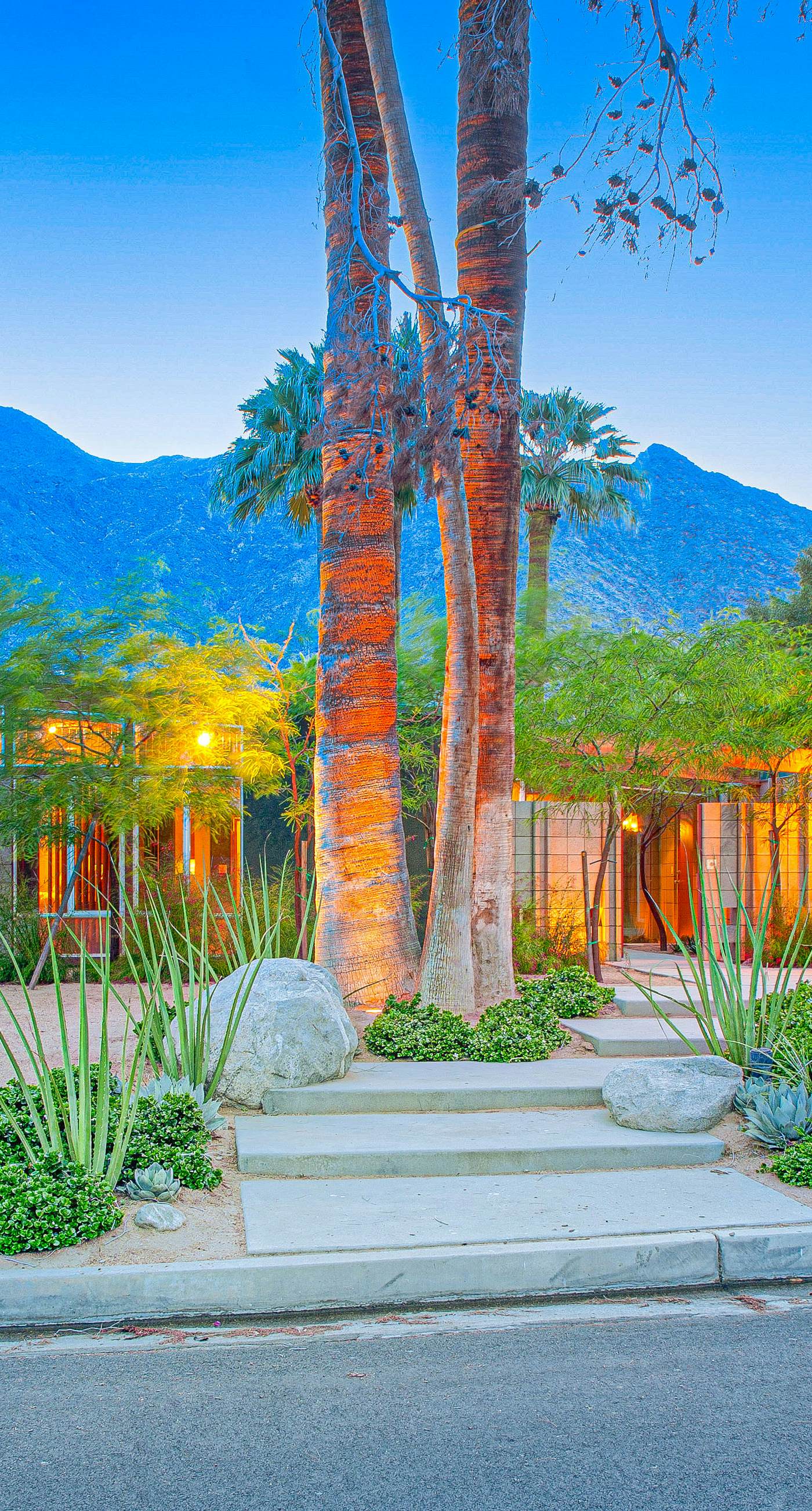 Las Palmas Monte Vista