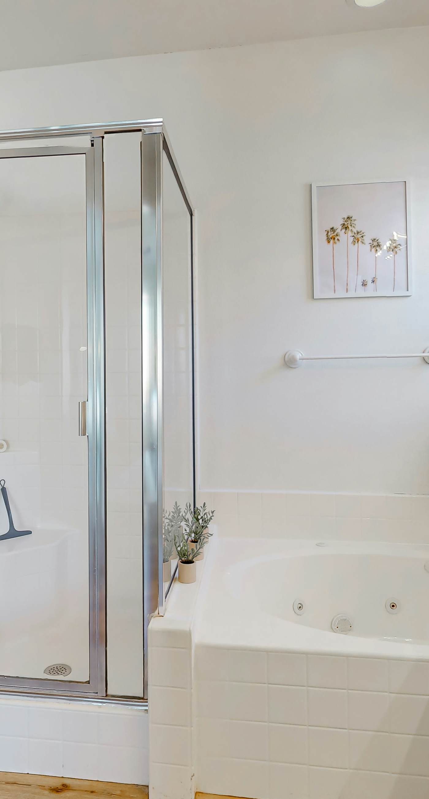 Tranquil Desert Sanctuary