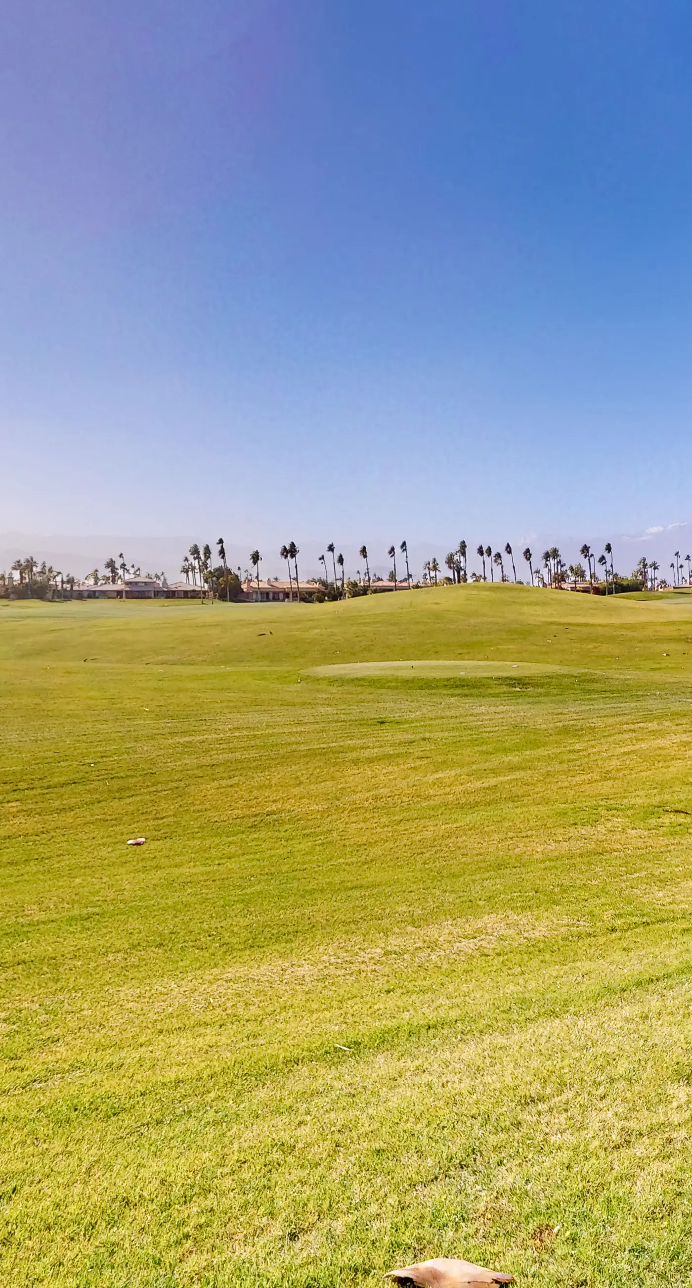 The Gem of Palm Desert