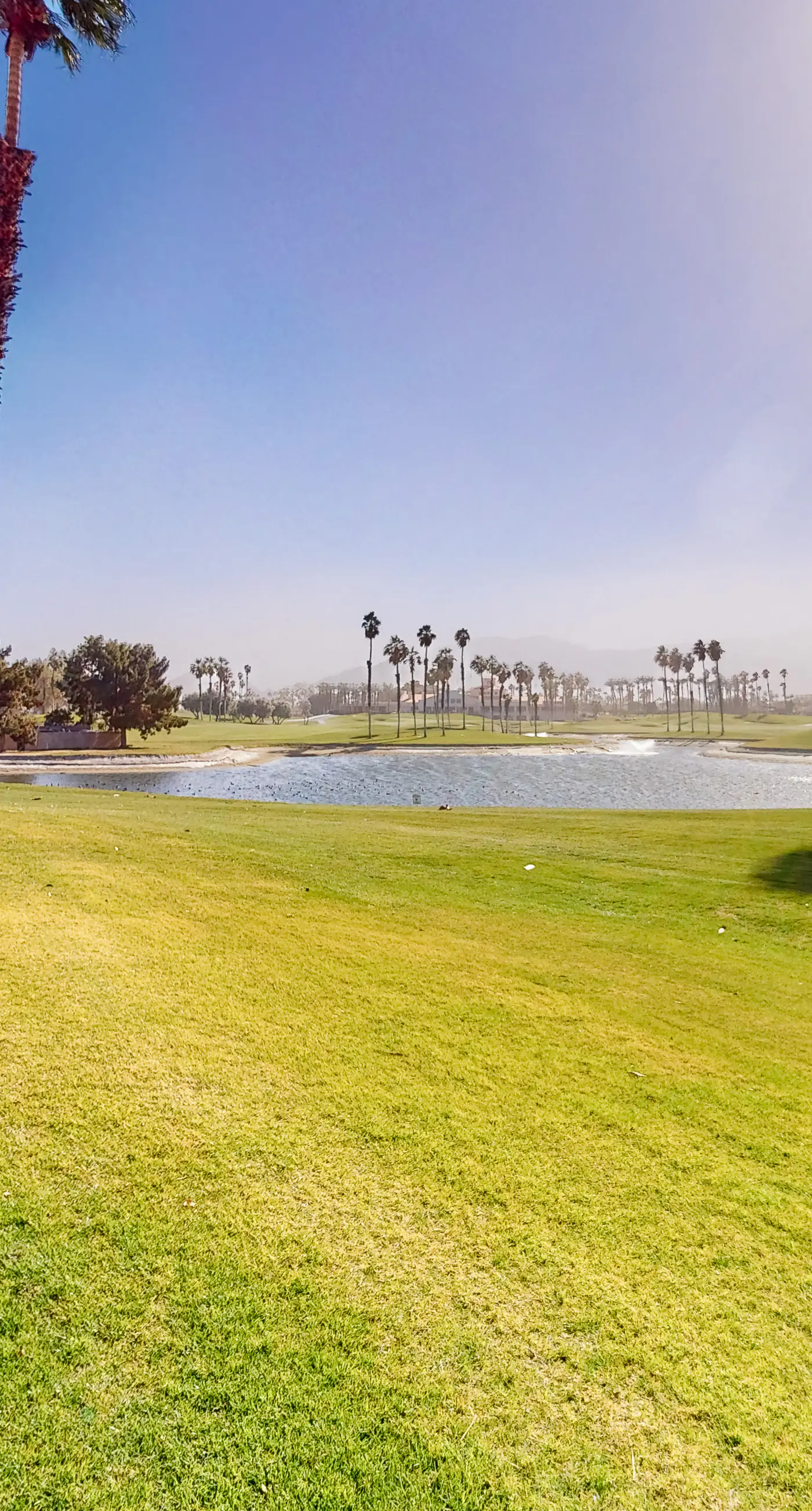 The Gem of Palm Desert