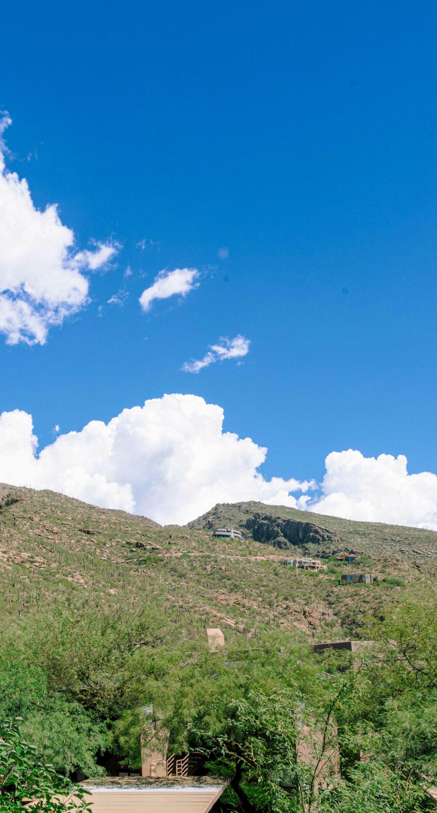 Desert Horizon Haven