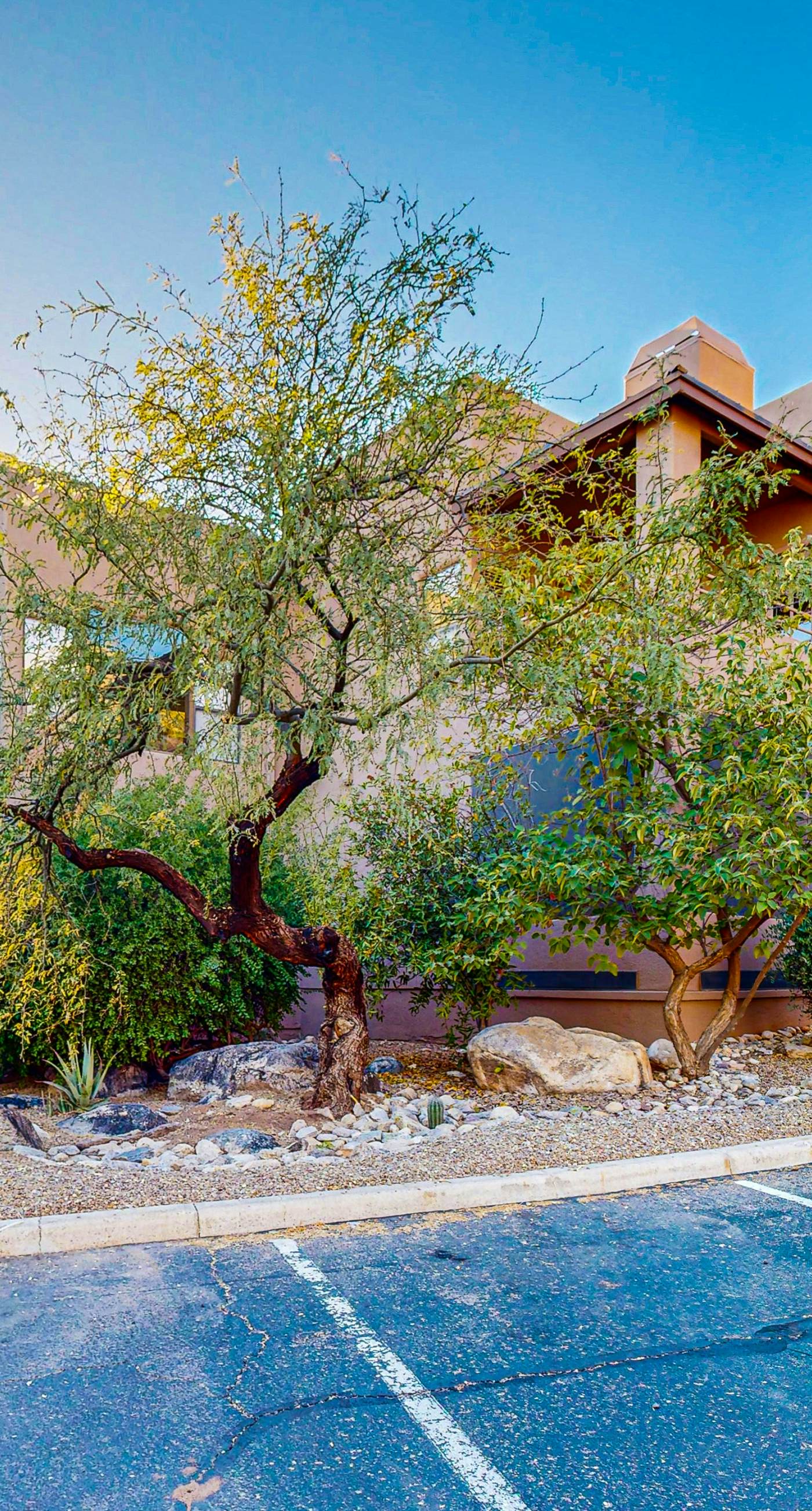 Desert Horizon Haven