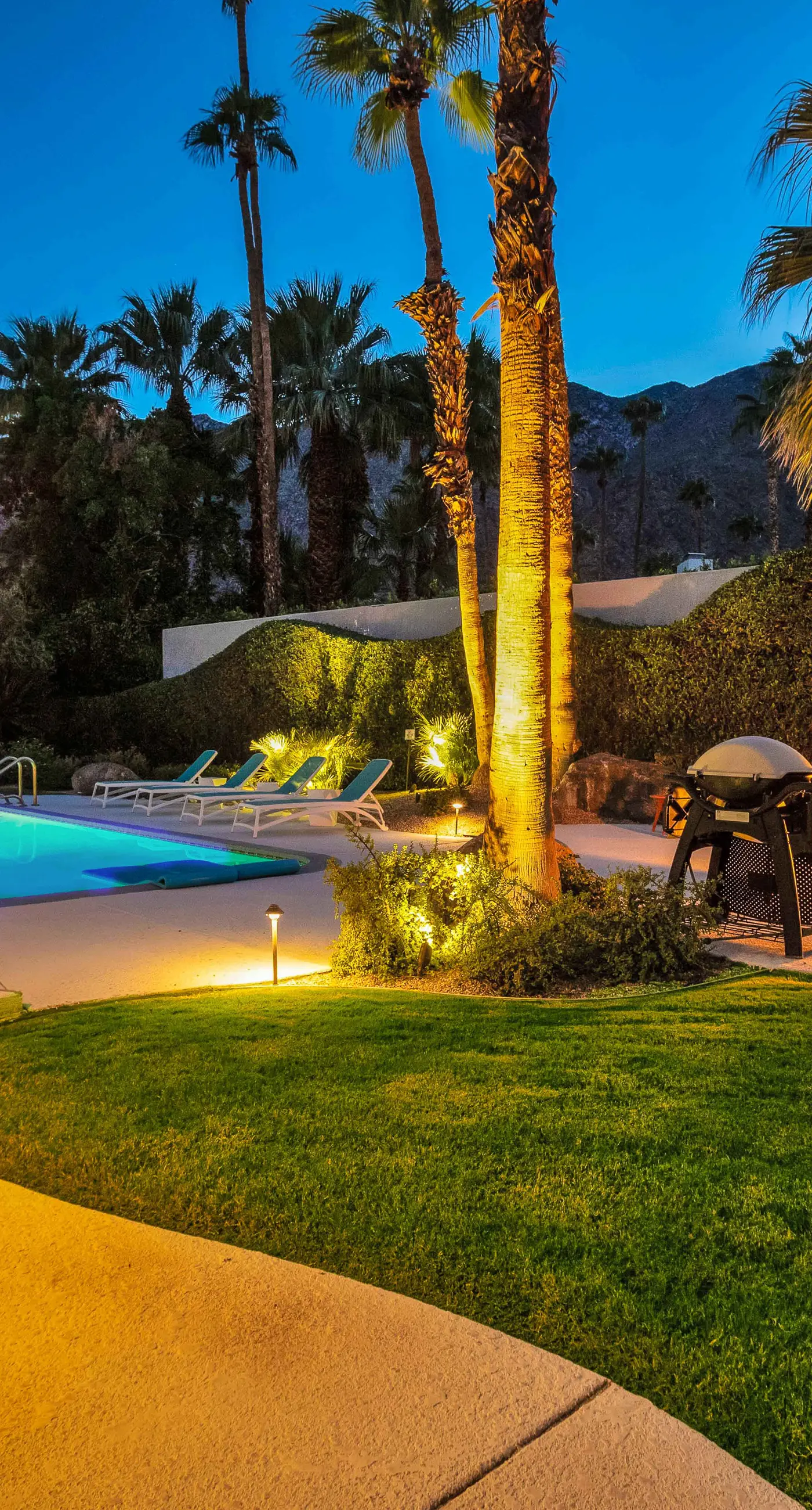 Palm Springs Style - 2875