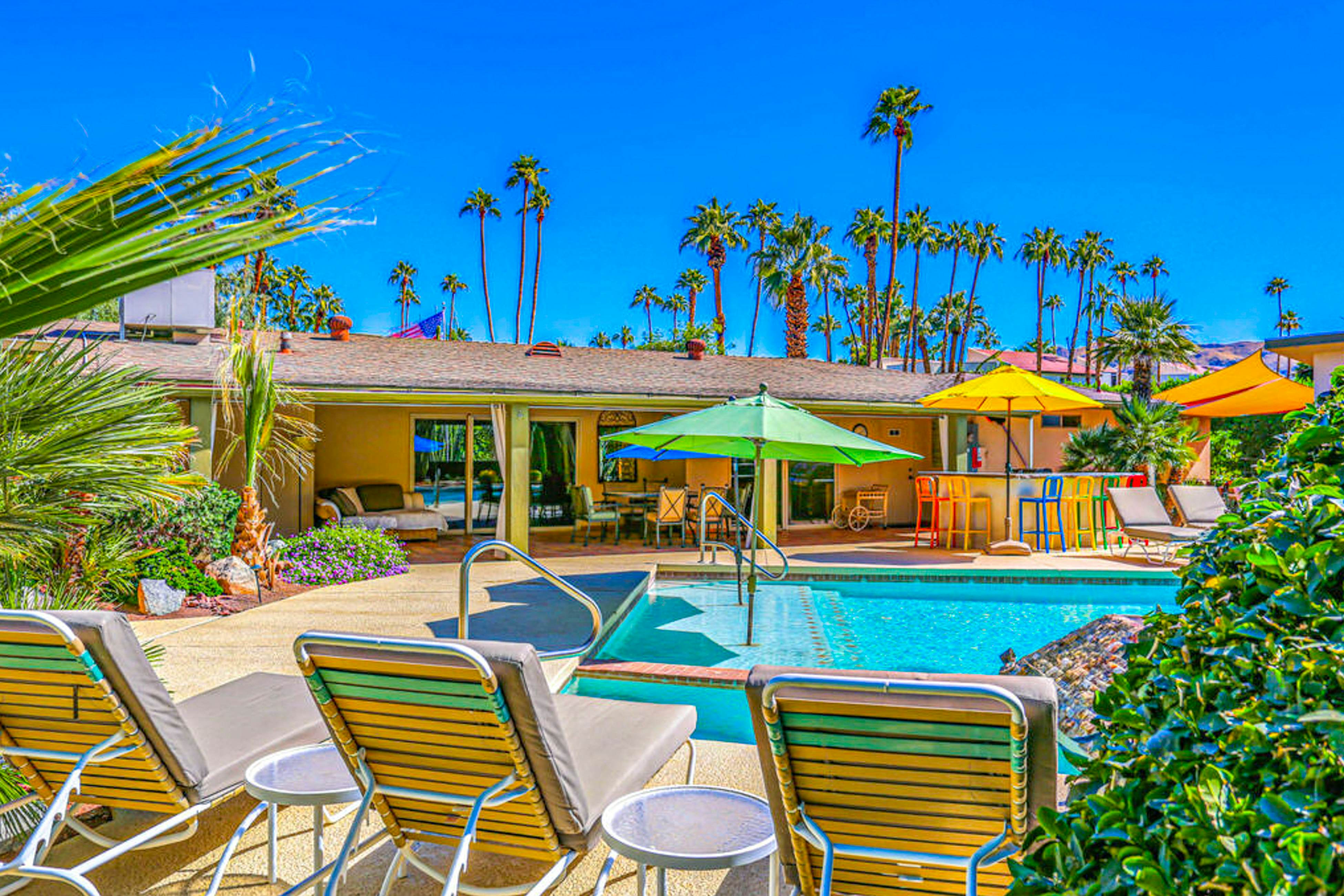 Palm Paradise - 2882