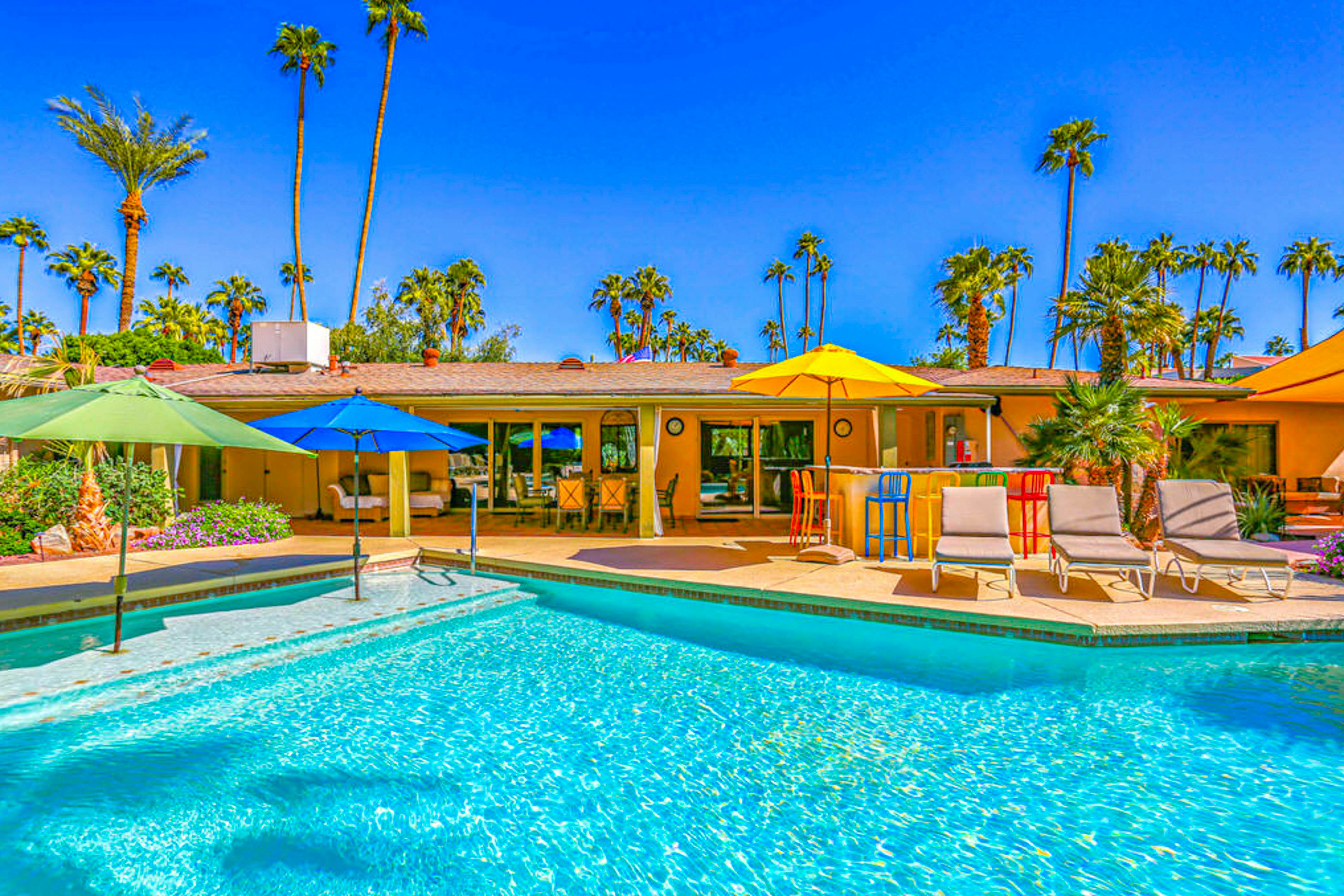 Palm Paradise - 2882