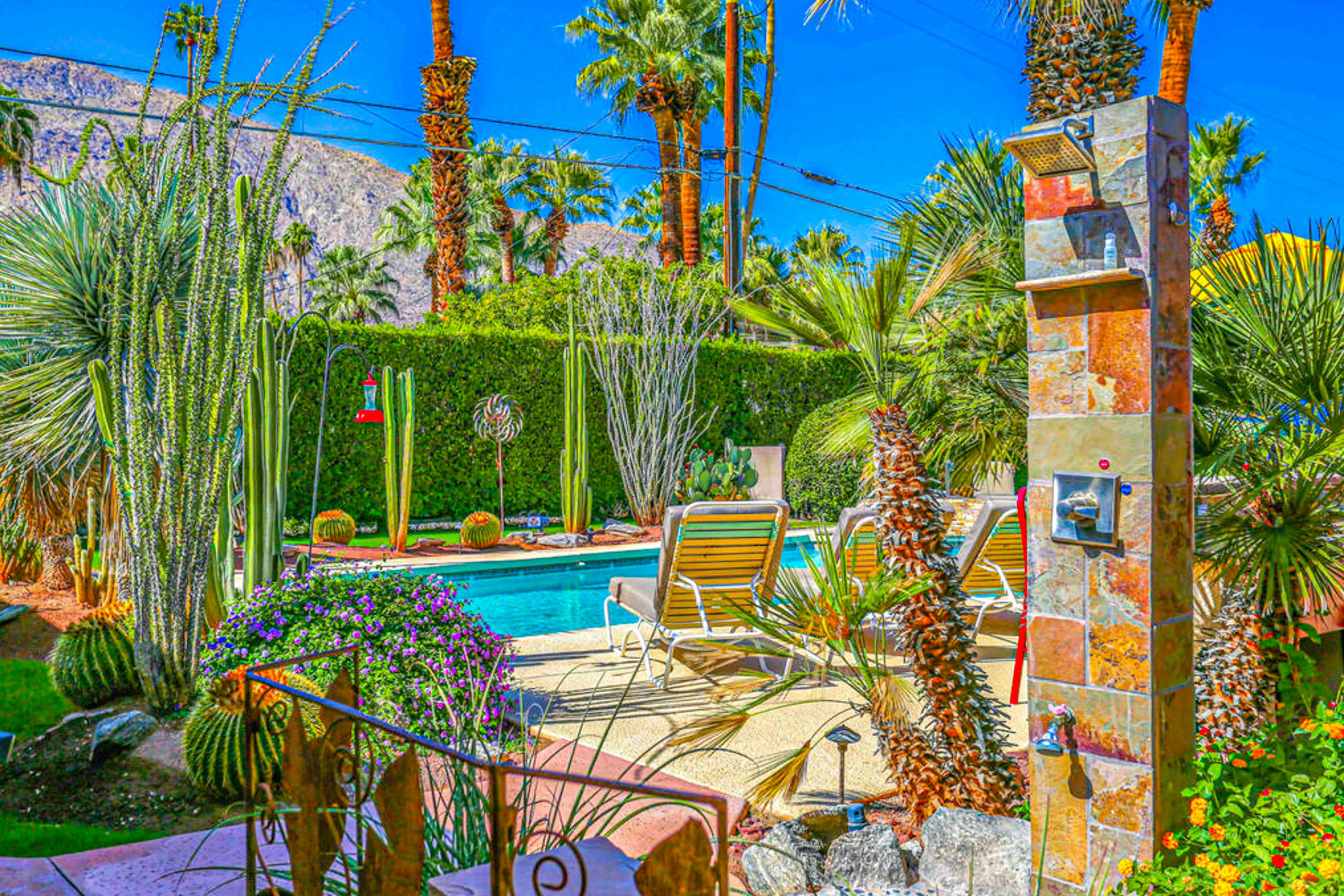 Palm Paradise - 2882