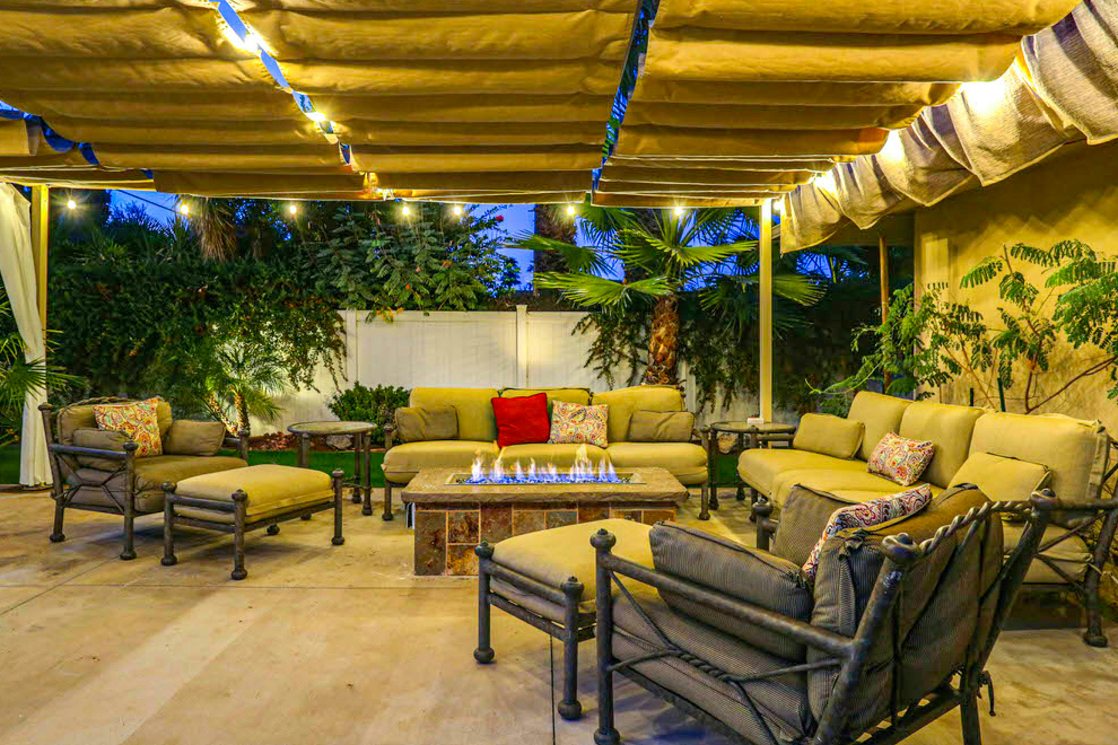 Palm Paradise - 2882