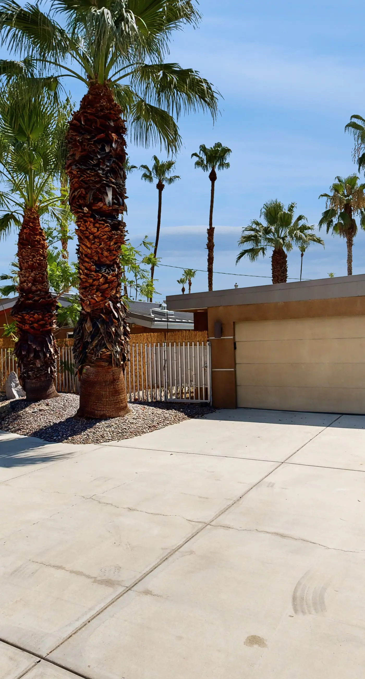 Twin Palms Mid-century Escape - 1983