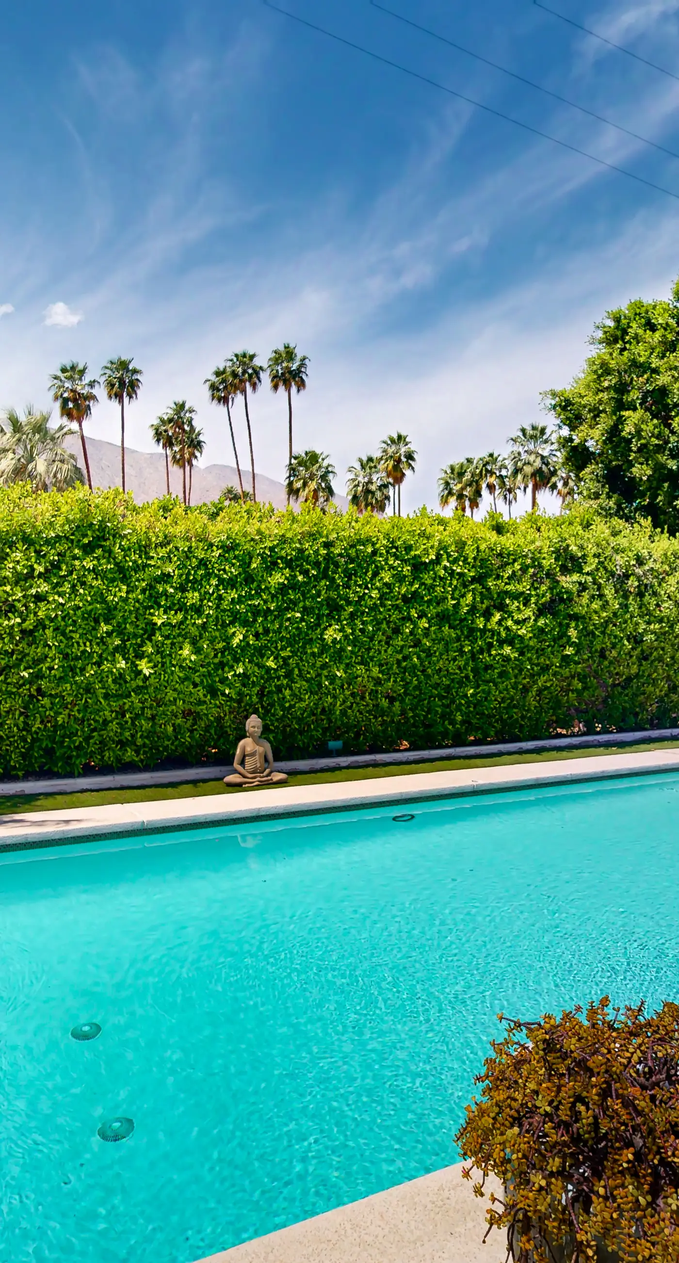 South Palm Springs Paradise - 3589