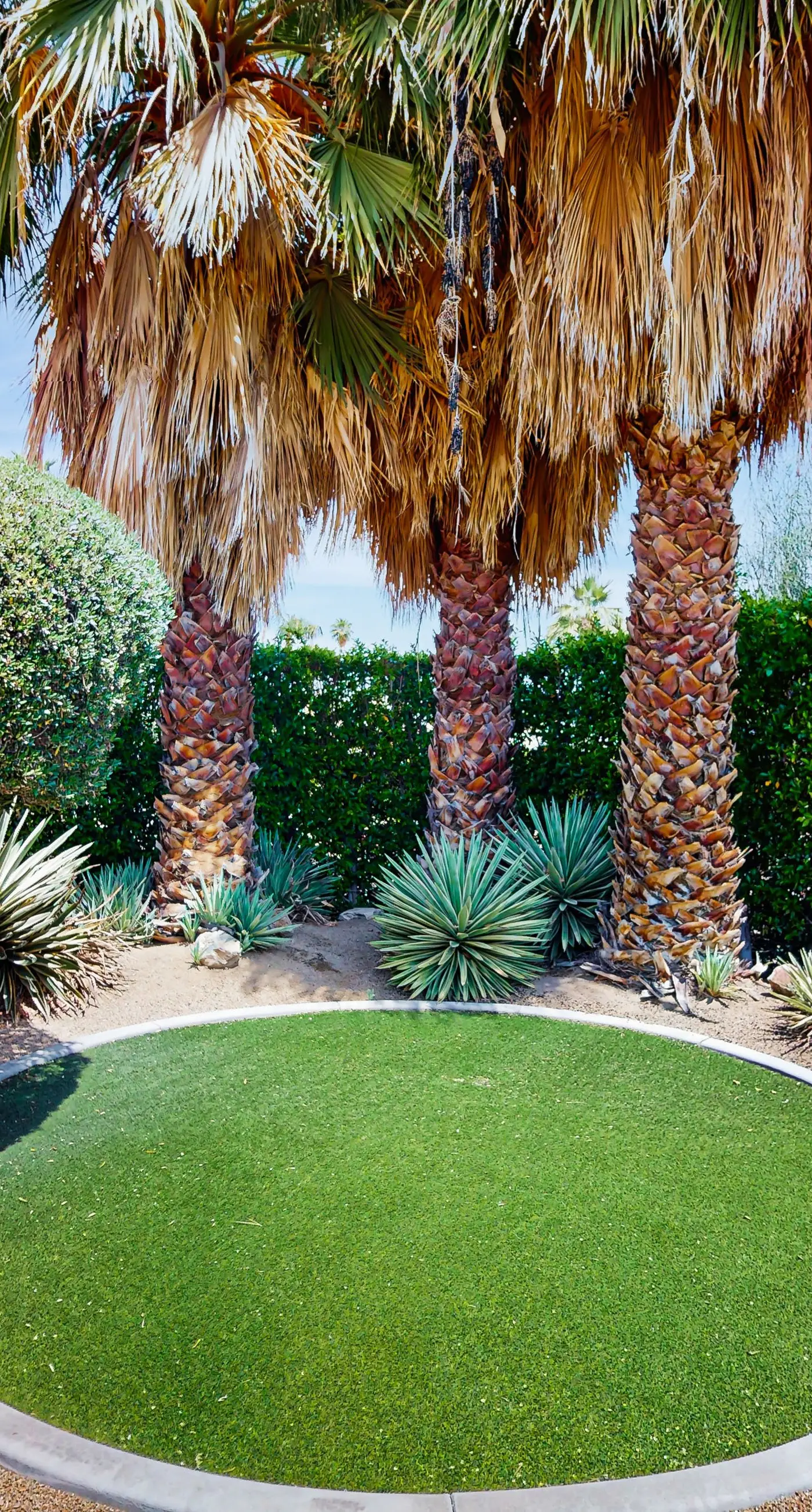 South Palm Springs Paradise - 3589