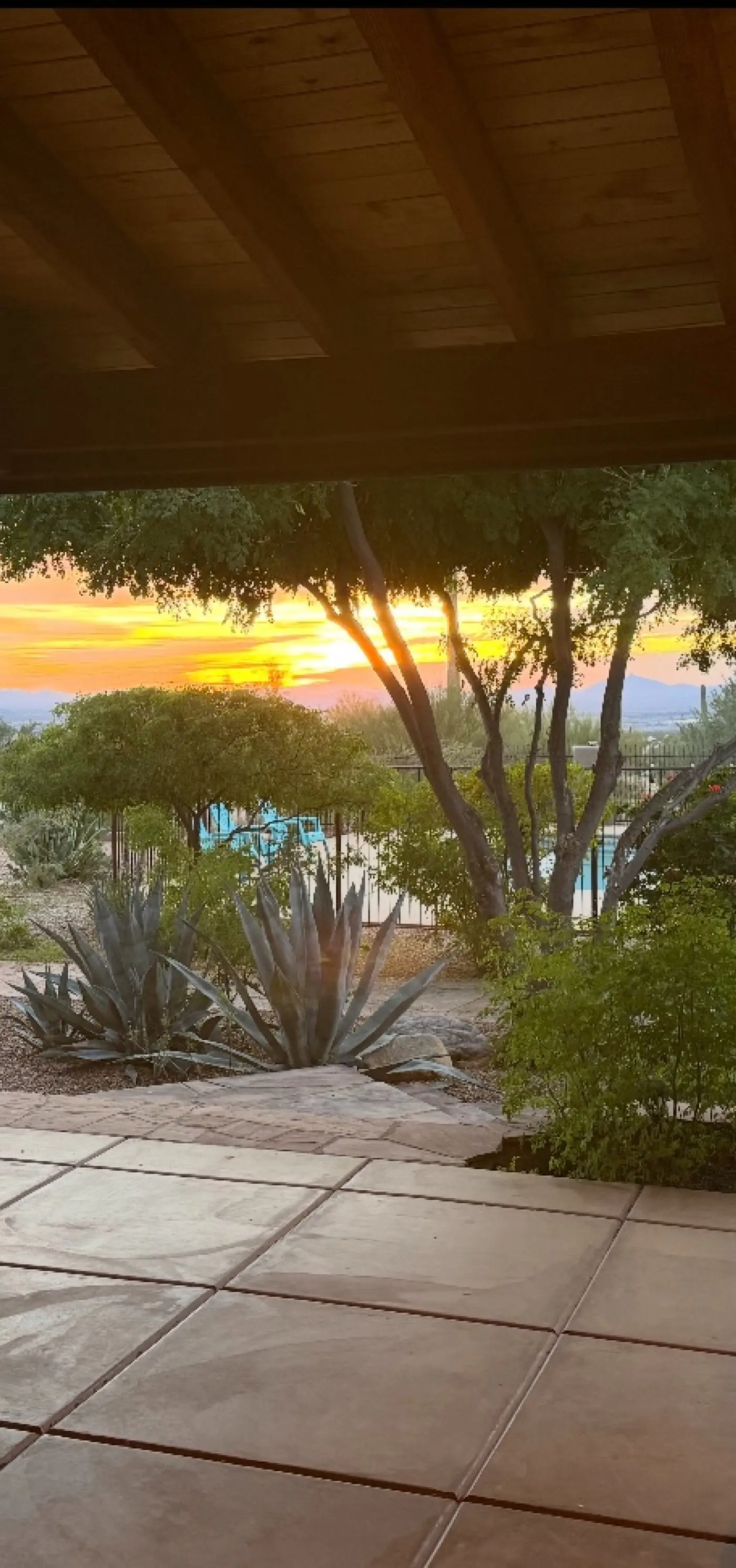 Serenity Oasis Estate