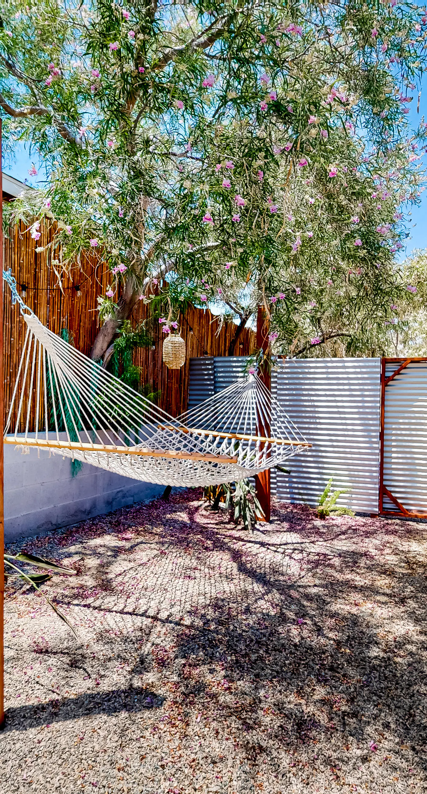 Joshua Tree Casa Leon