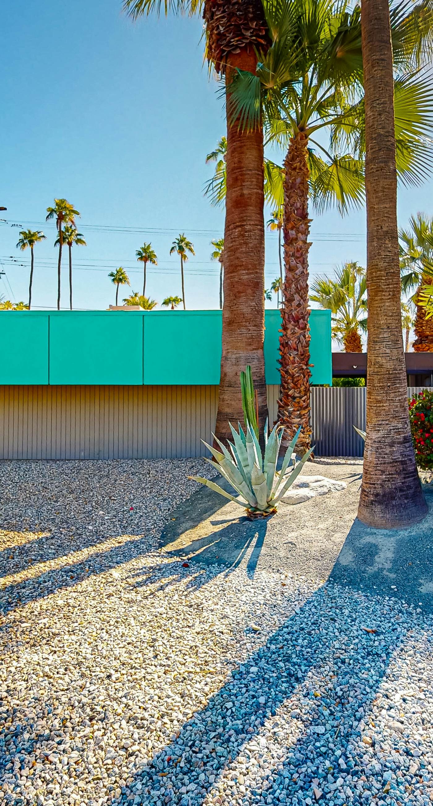 Twin Palms Sunsation - 1175