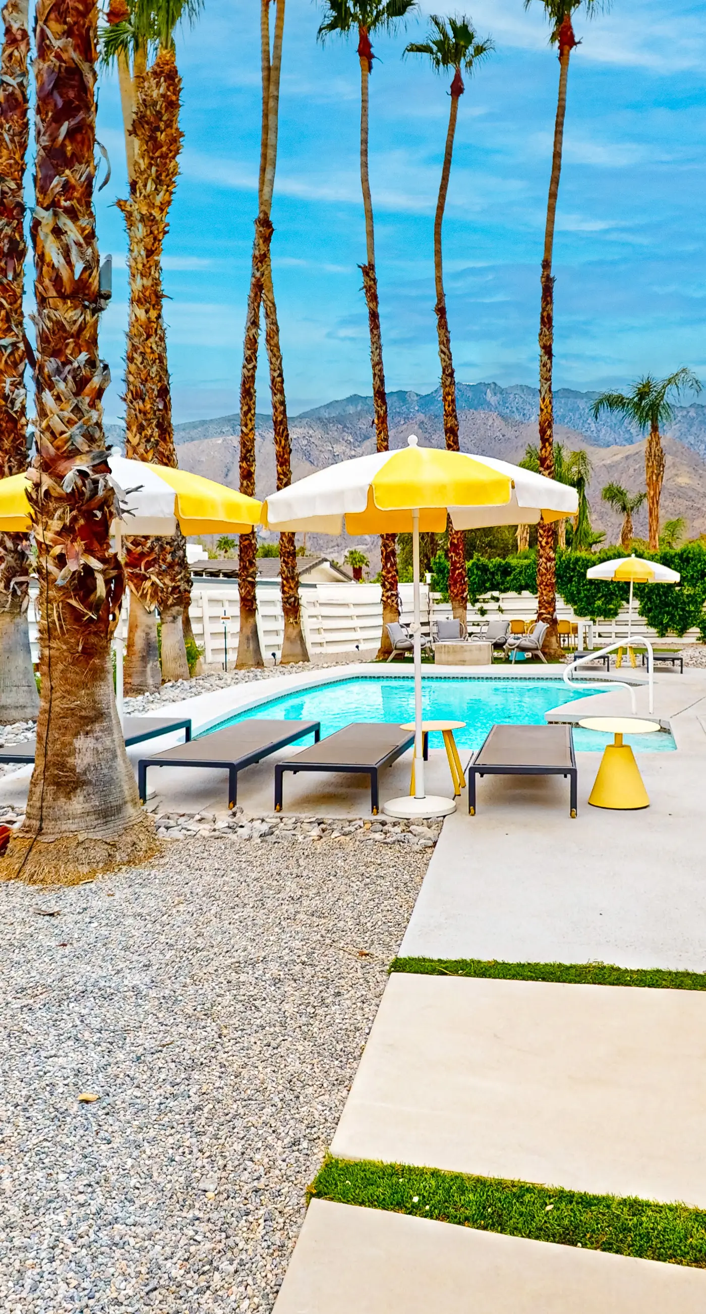 Twelve Palms - 67924