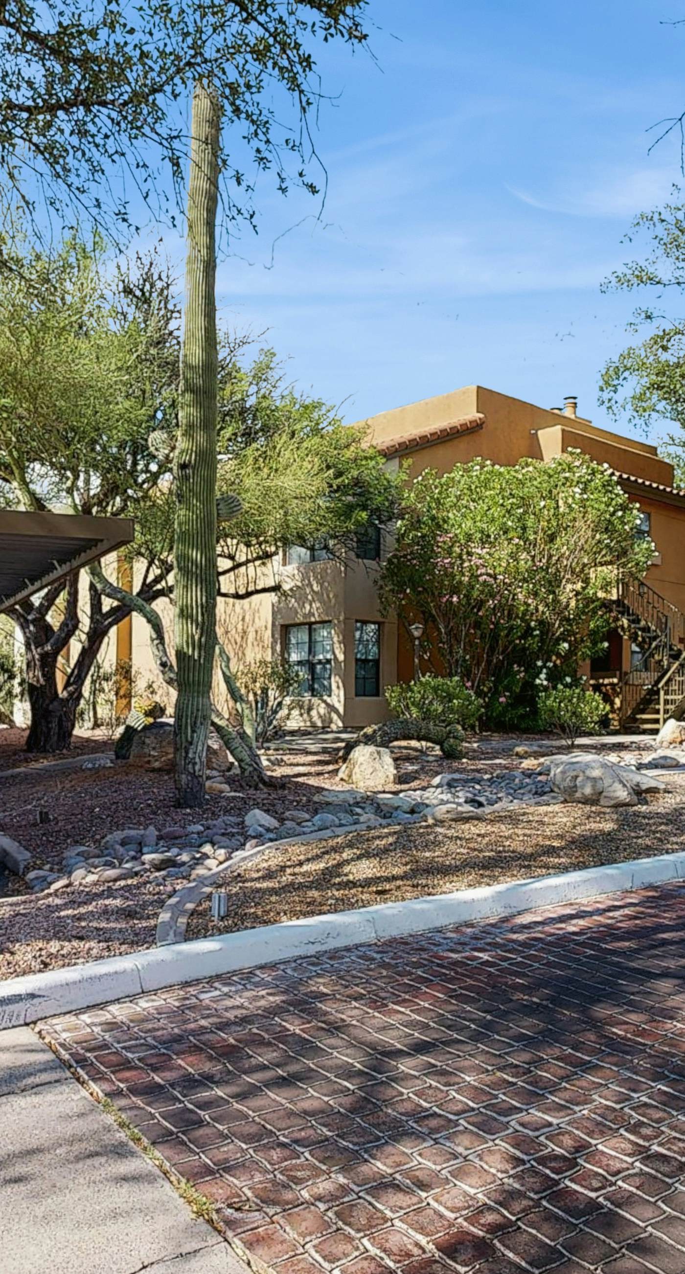 Top of the Foothills