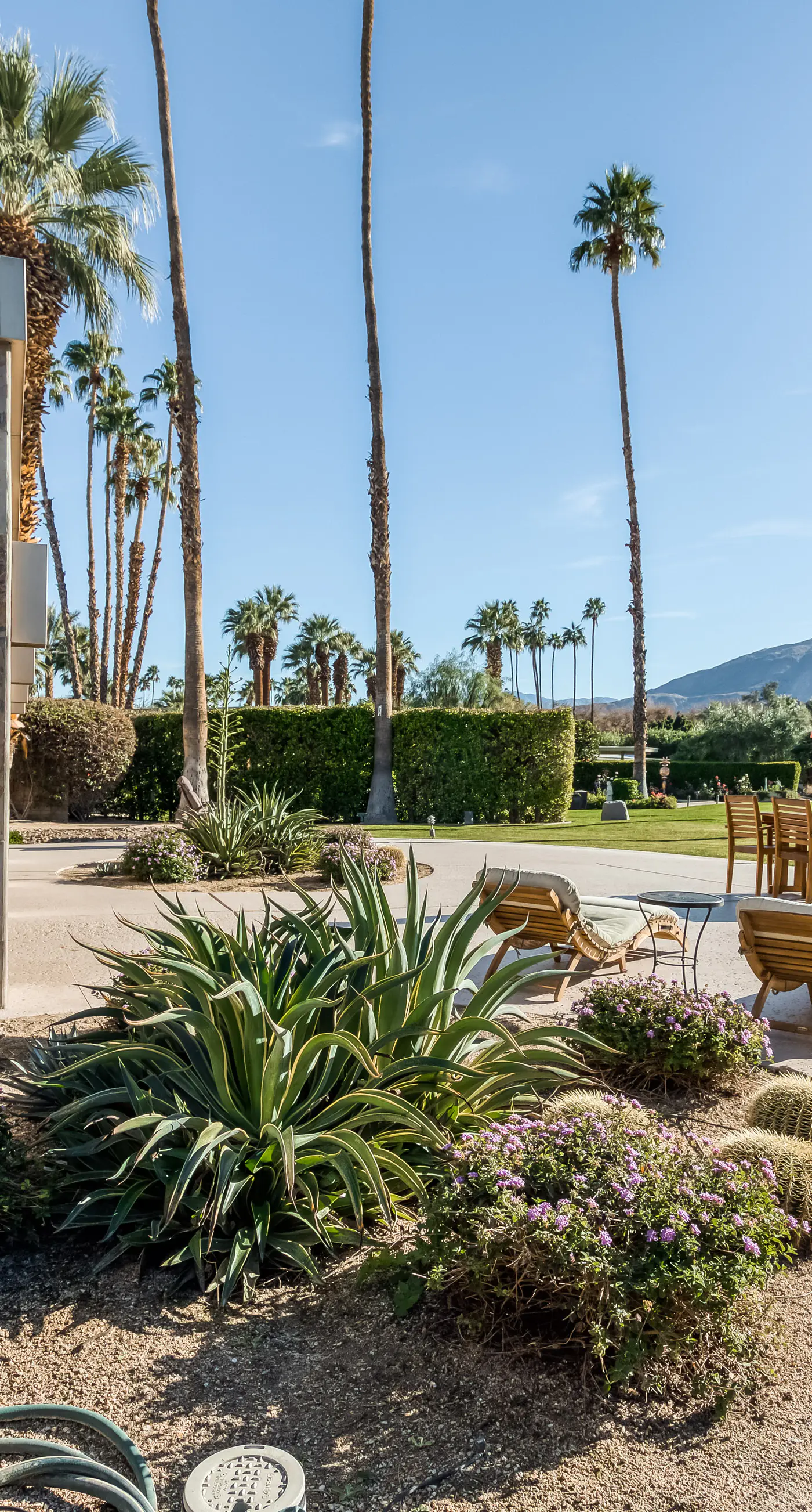 Morning Springs Mirage