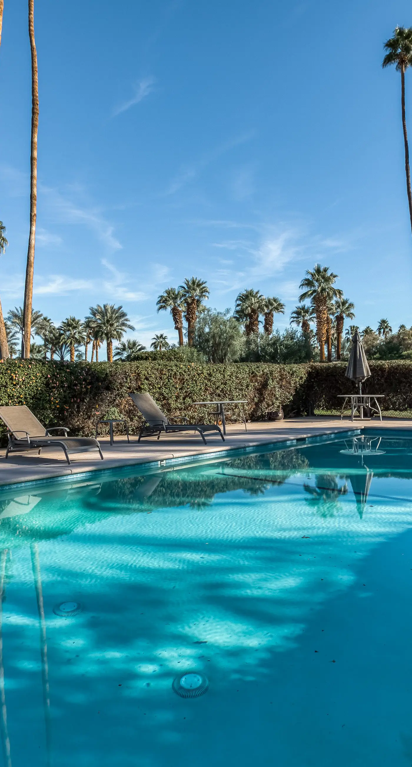 Morning Springs Mirage