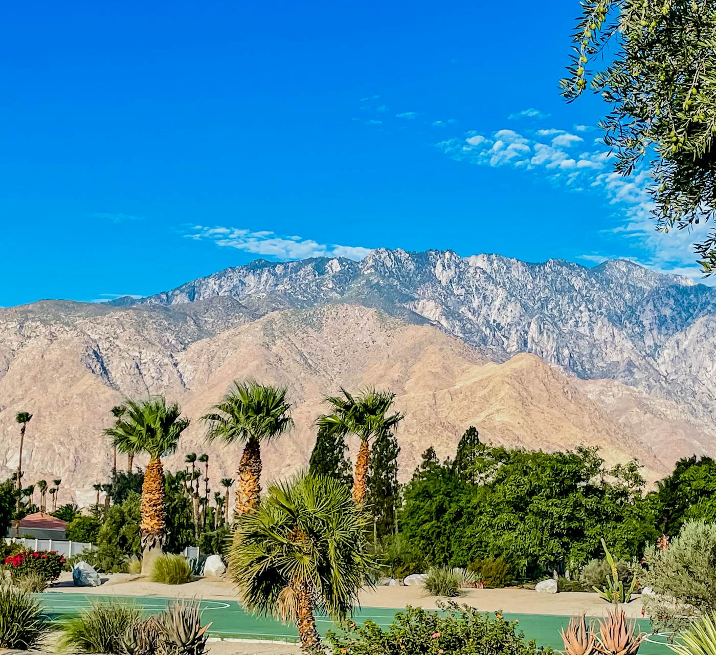 Villas de las Flores -14 day minimum #68338 - Palm Springs