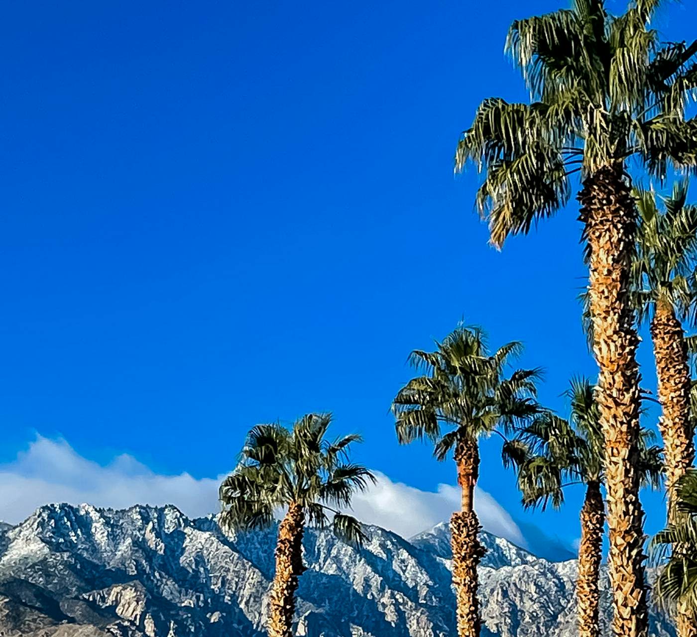 Villas de las Flores -14 day minimum #68338 - Palm Springs