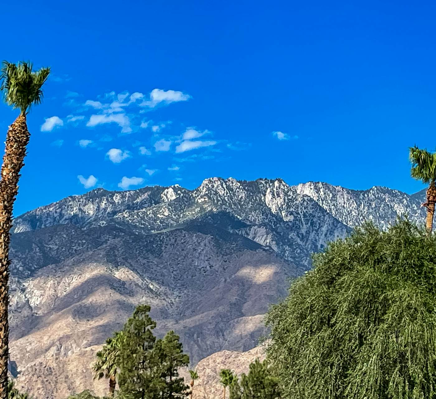Villas de las Flores -14 day minimum #68338 - Palm Springs