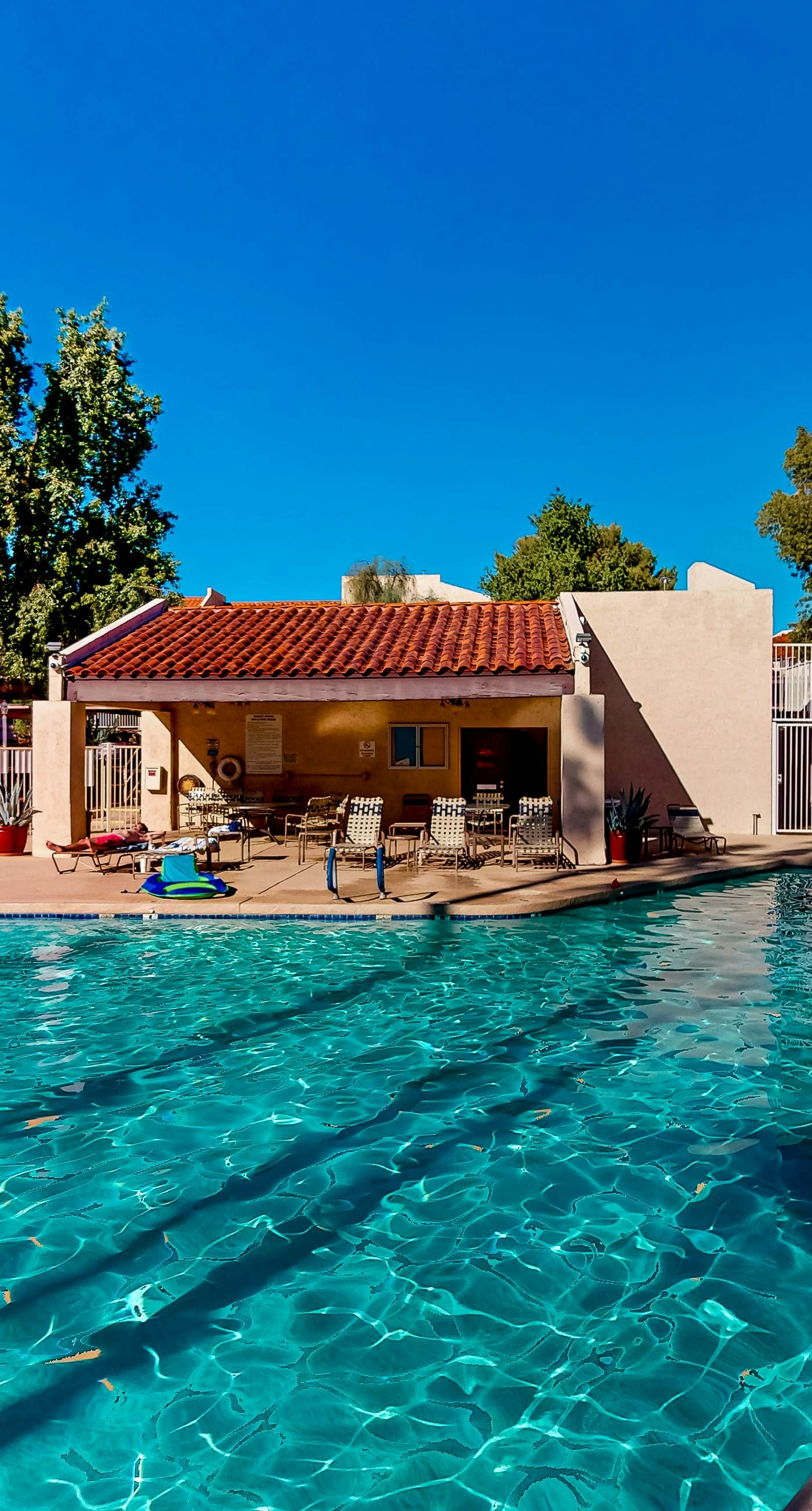 The Palm Searcher, Unit 344