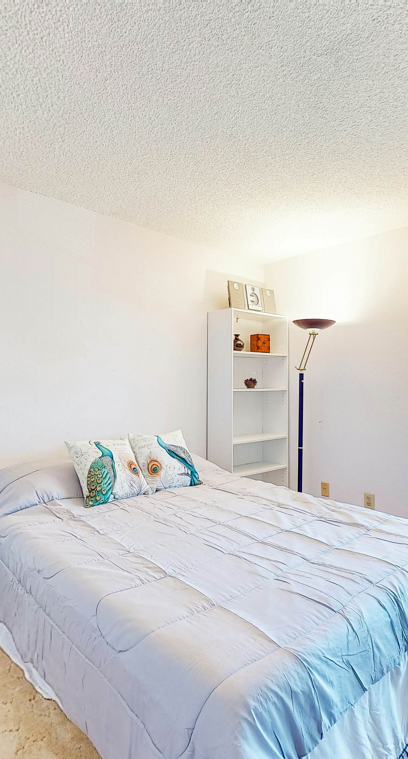 The Palm Searcher, Unit 344