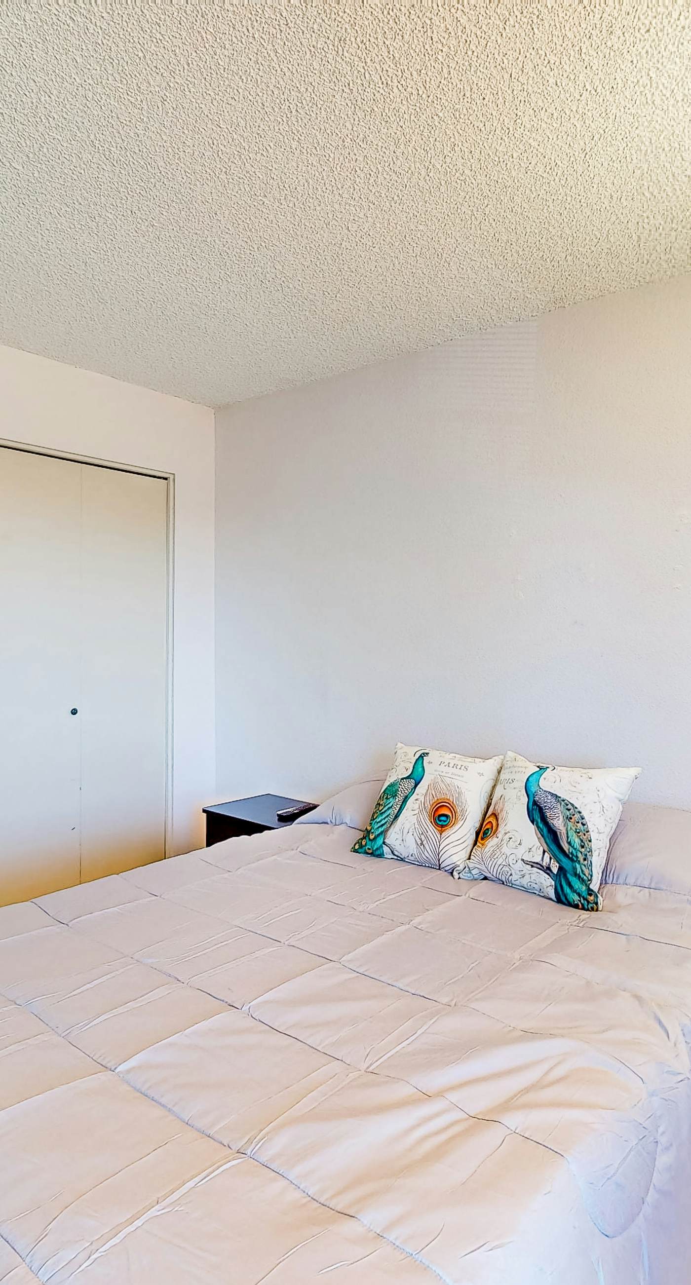 The Palm Searcher, Unit 344