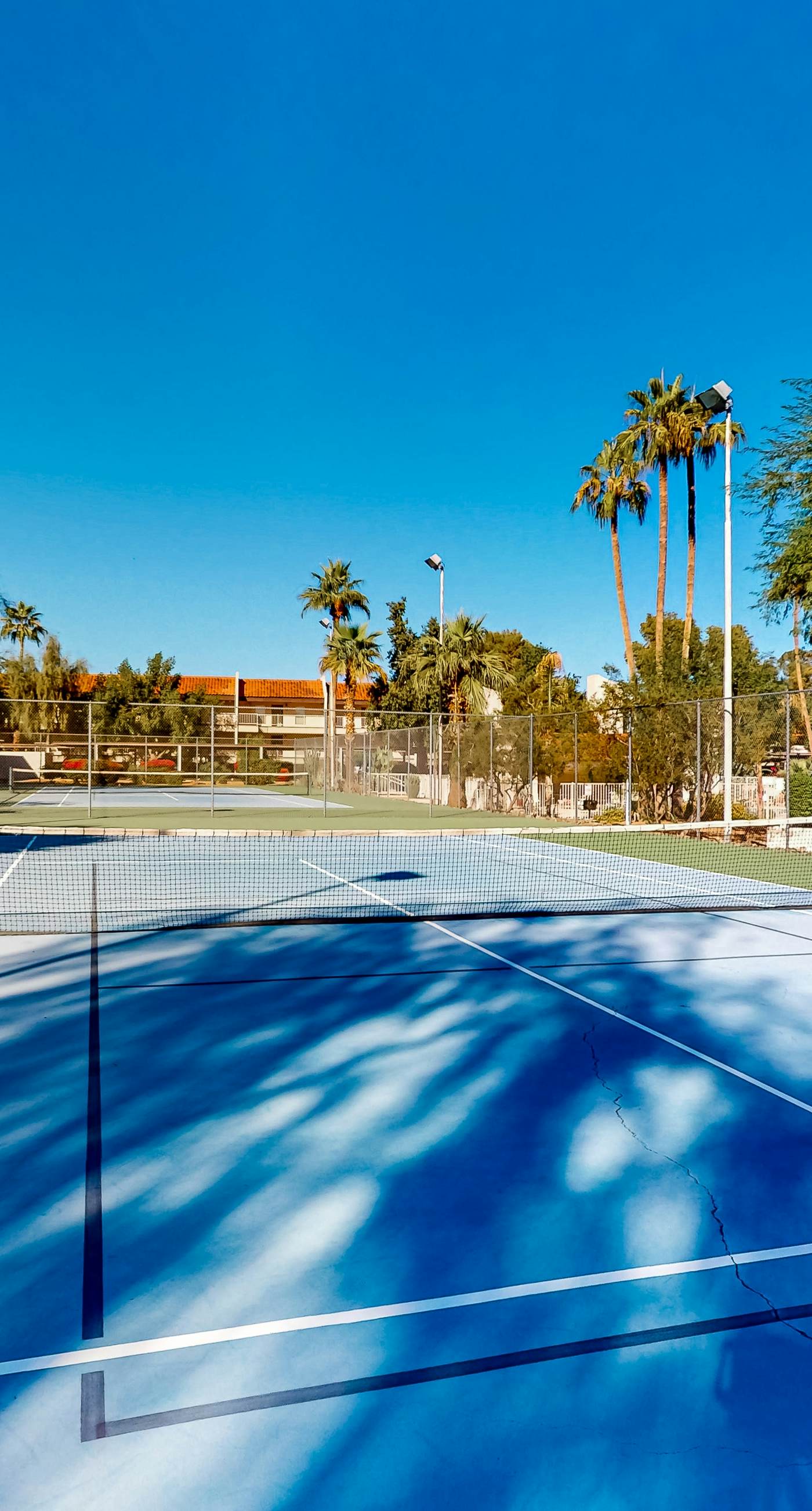 The Palm Searcher, Unit 344