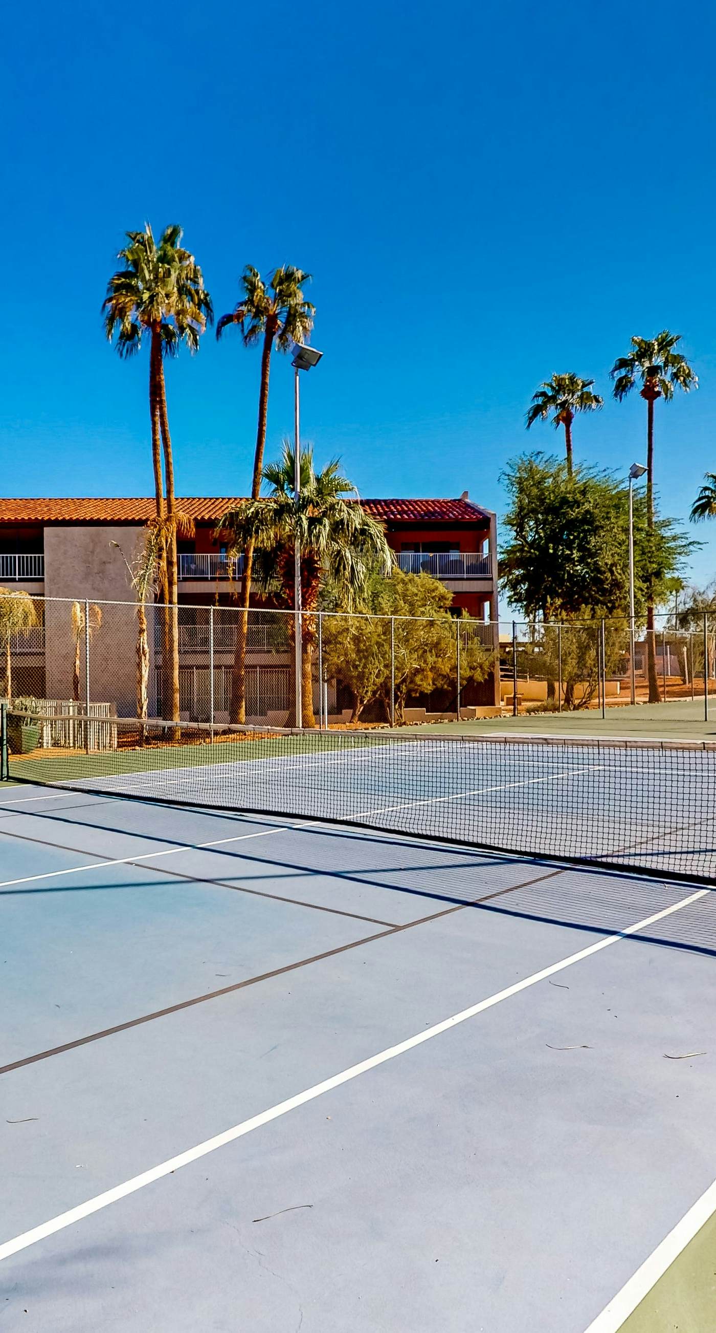 The Palm Searcher, Unit 344