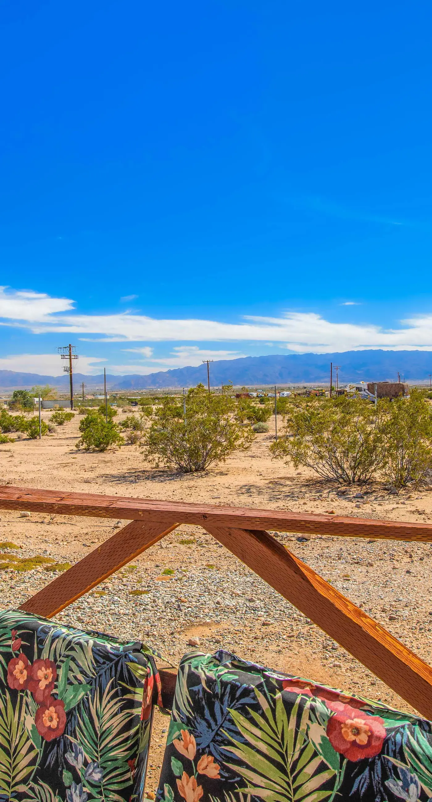 Cacti Sanctuary