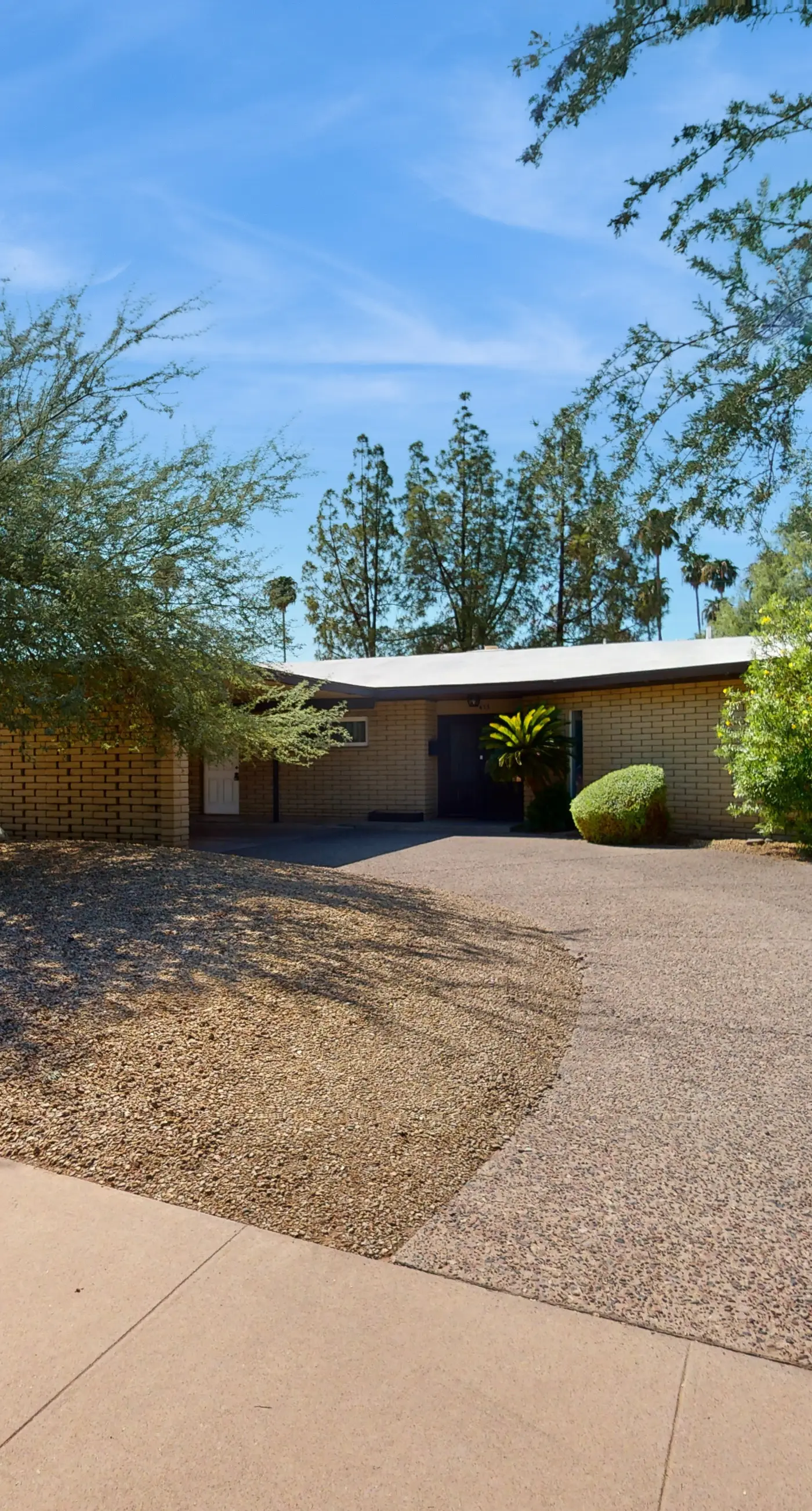 Desert Garden