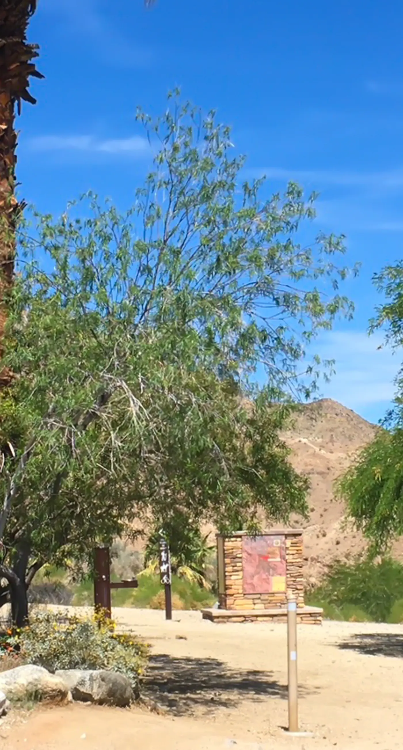 Ridgecrest Retreat