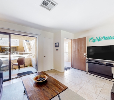 Mountains & Palms #60164