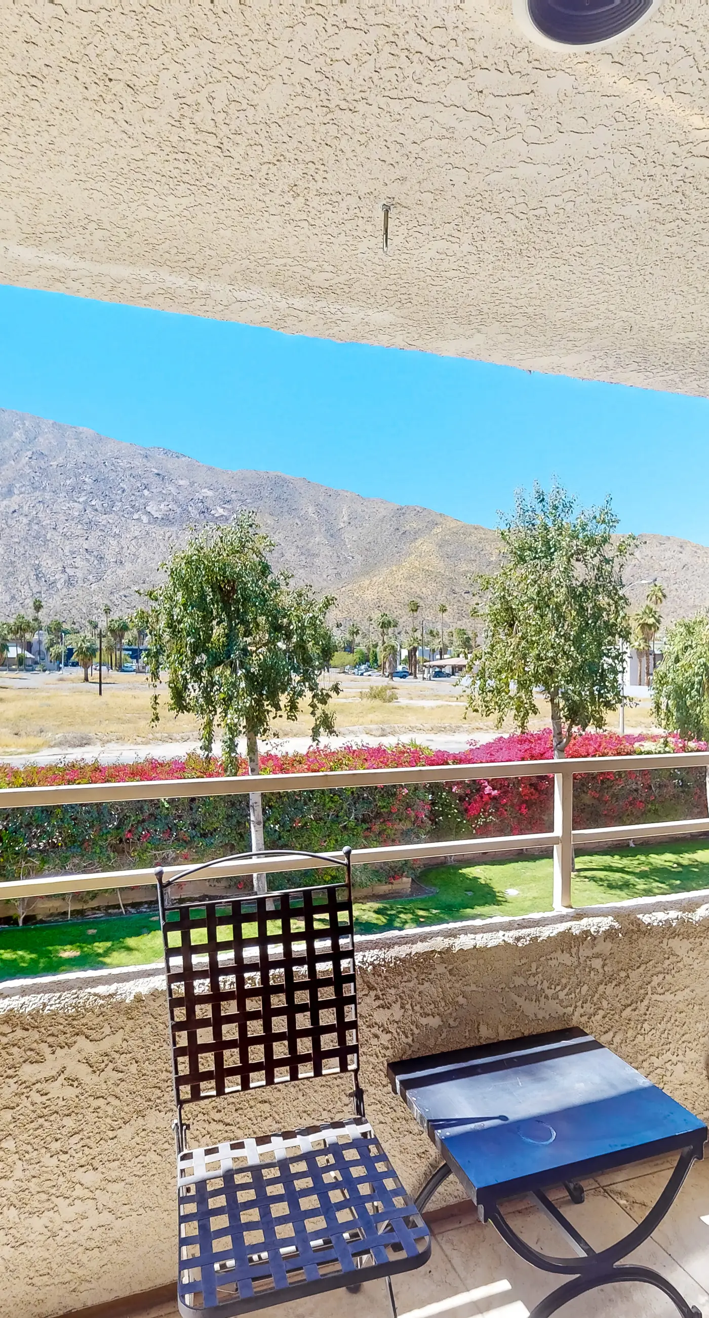 Mountains & Palms #60164