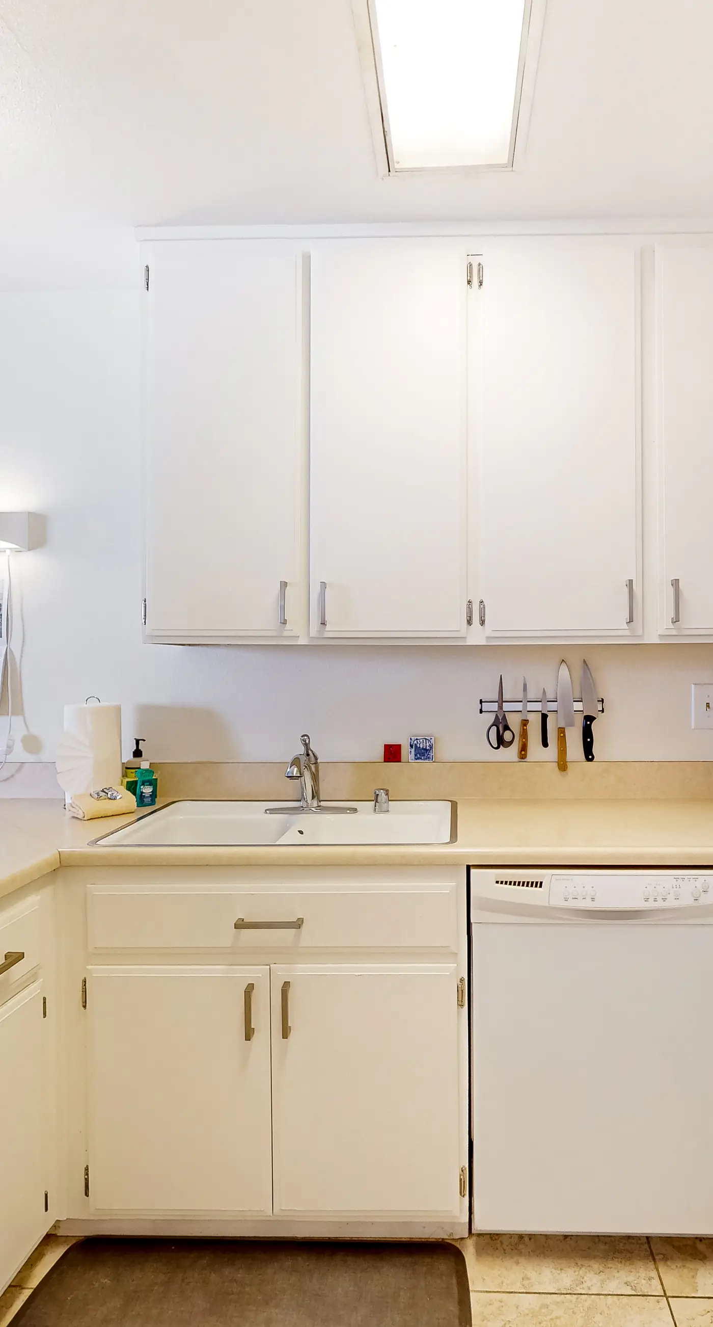 Mountains & Palms #60164