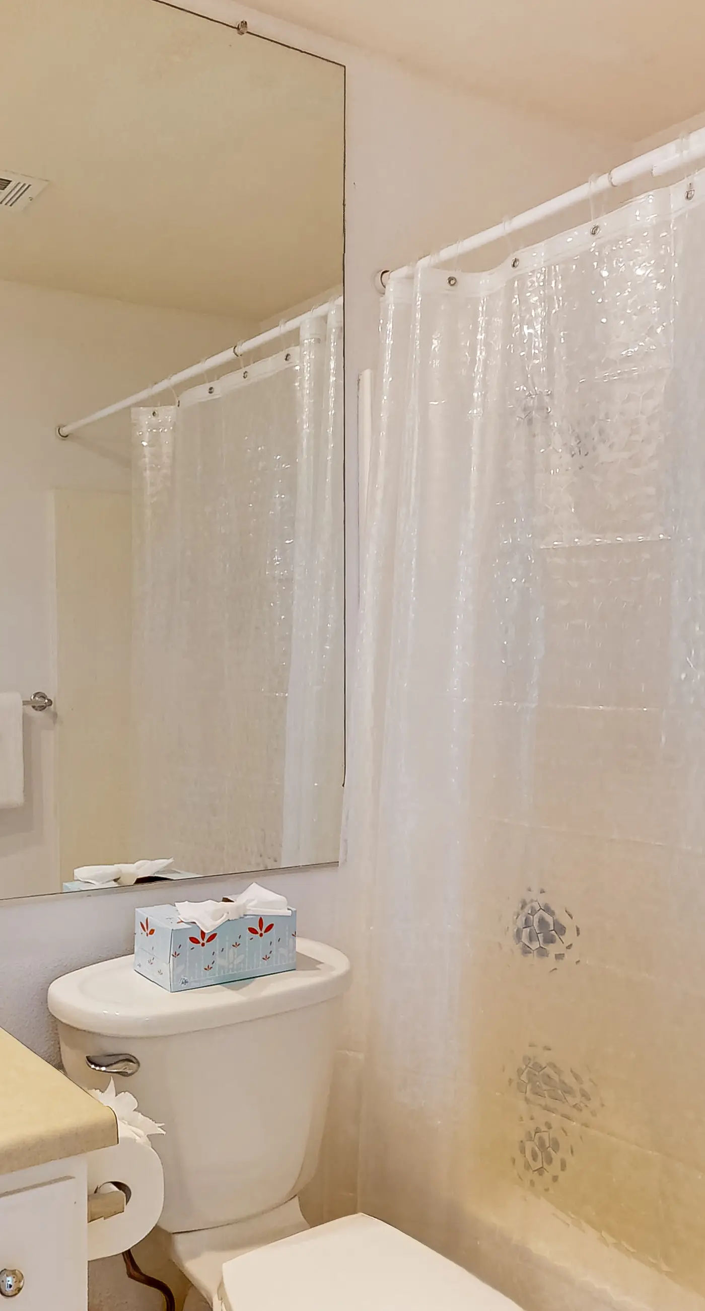 Mountains & Palms #60164