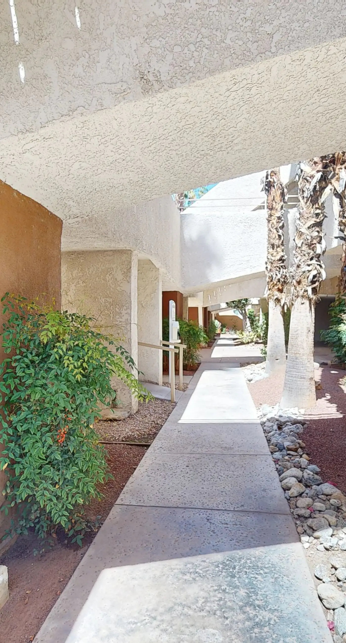 Mountains & Palms #60164