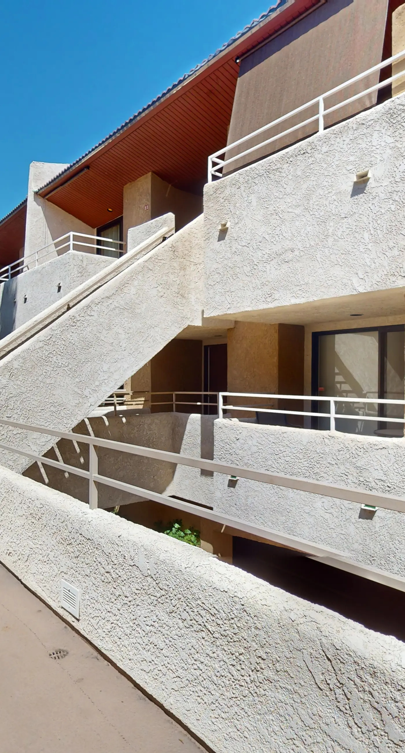 Mountains & Palms #60164